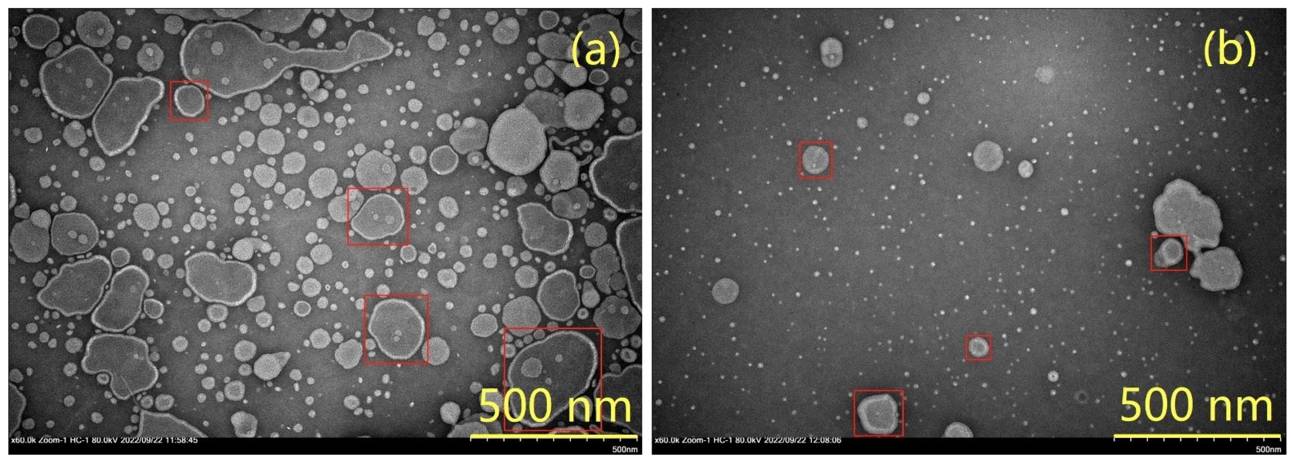 Bioengineering 09 00819 g001