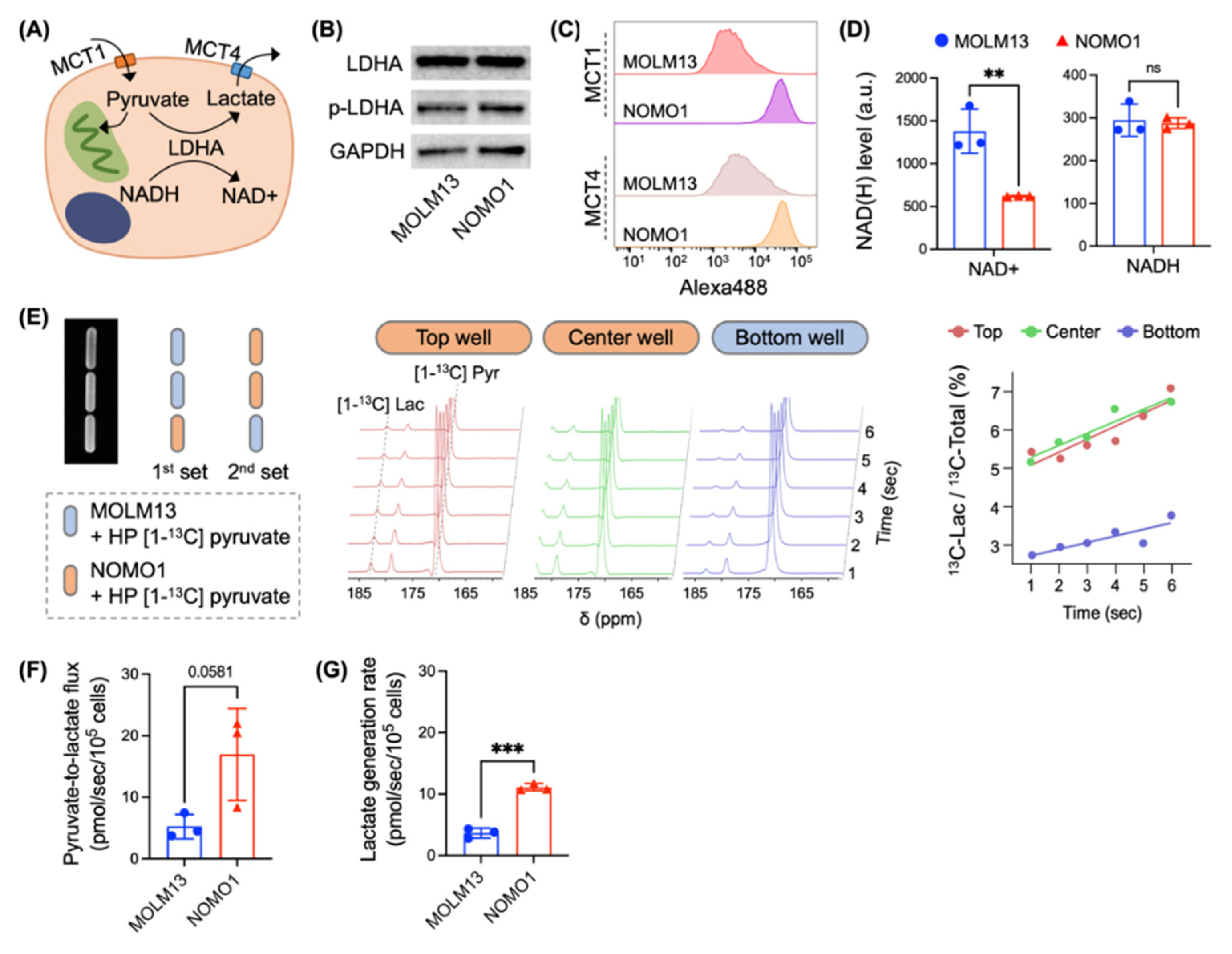 Bioengineering 10 00014 g003