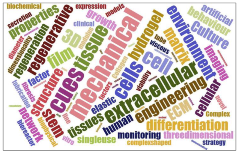 Bioengineering 10 00017 g001 Bioengineering 10 00017 g001