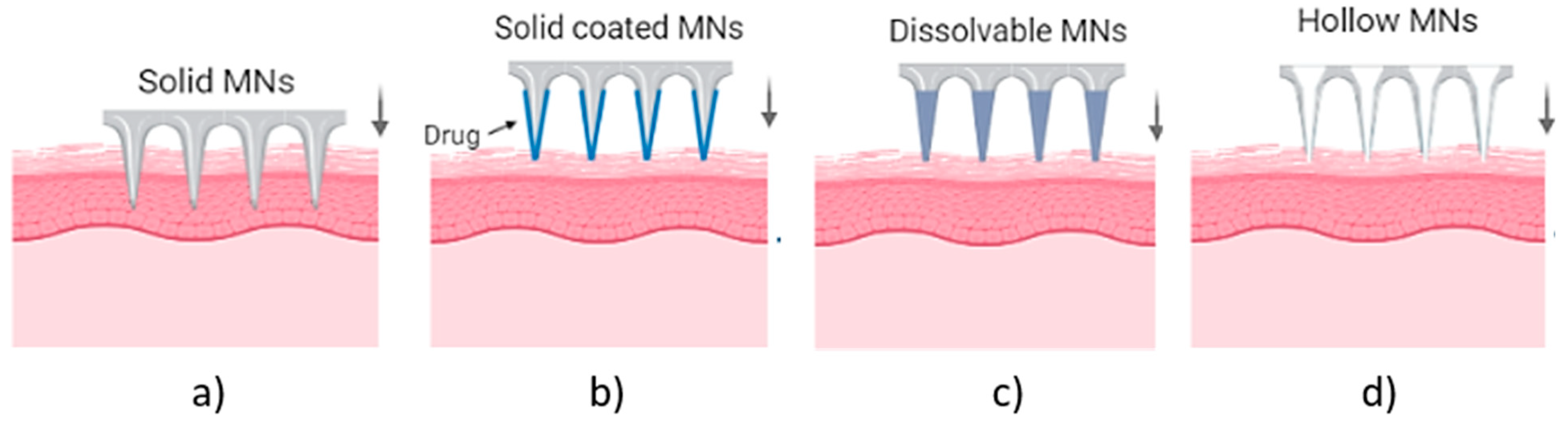 Bioengineering 10 00024 g001