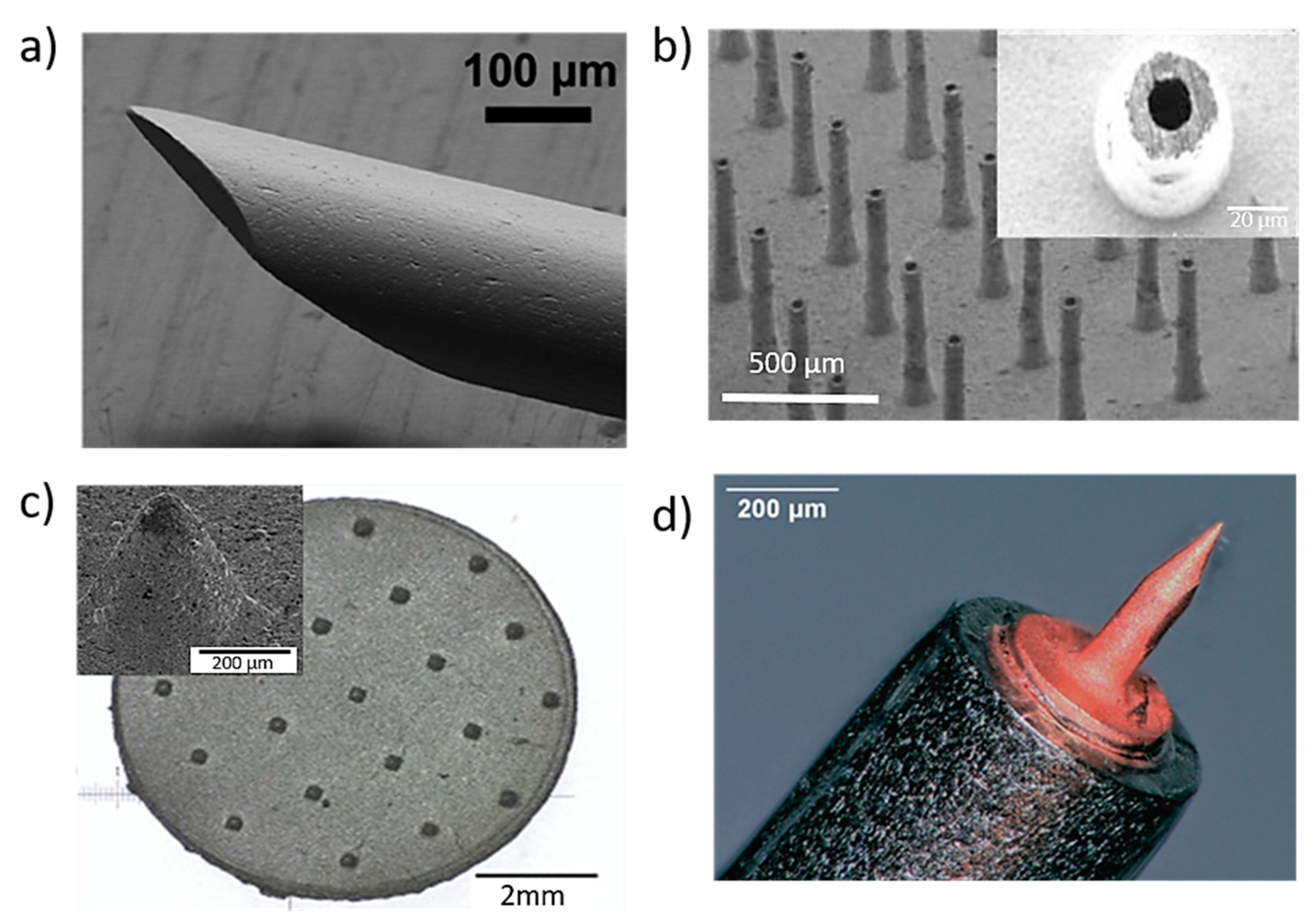 Bioengineering 10 00024 g003