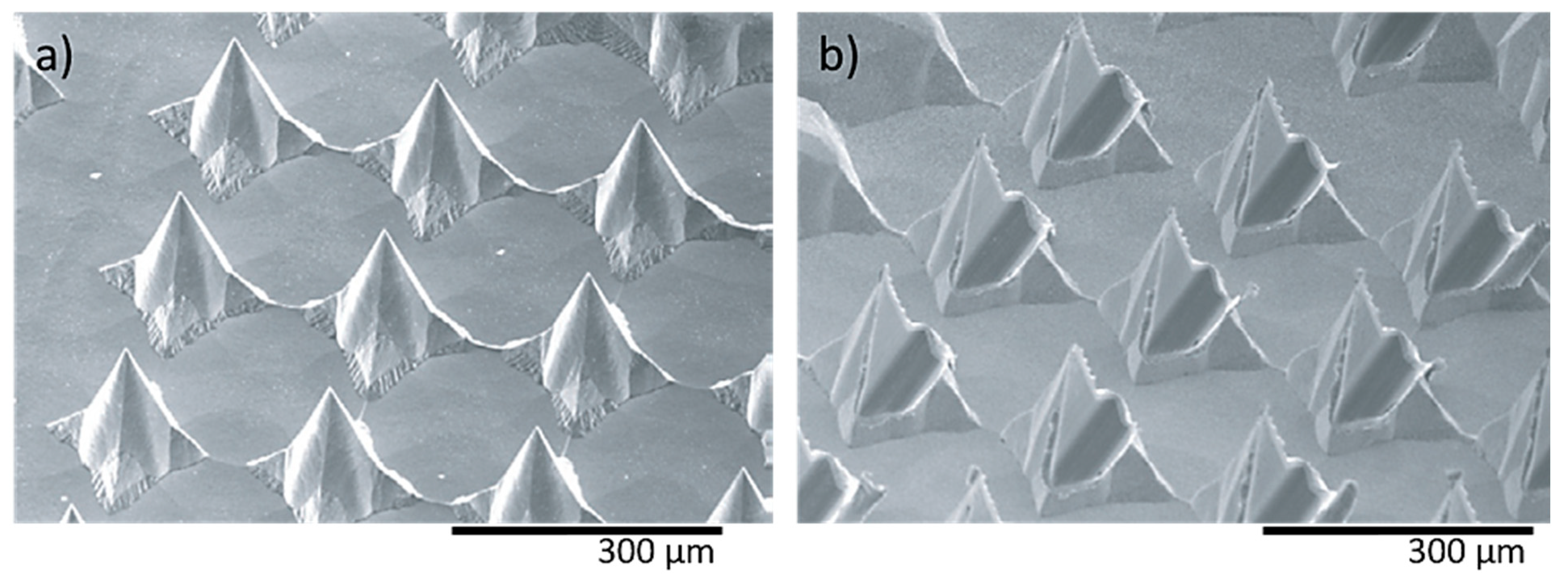 Bioengineering 10 00024 g009