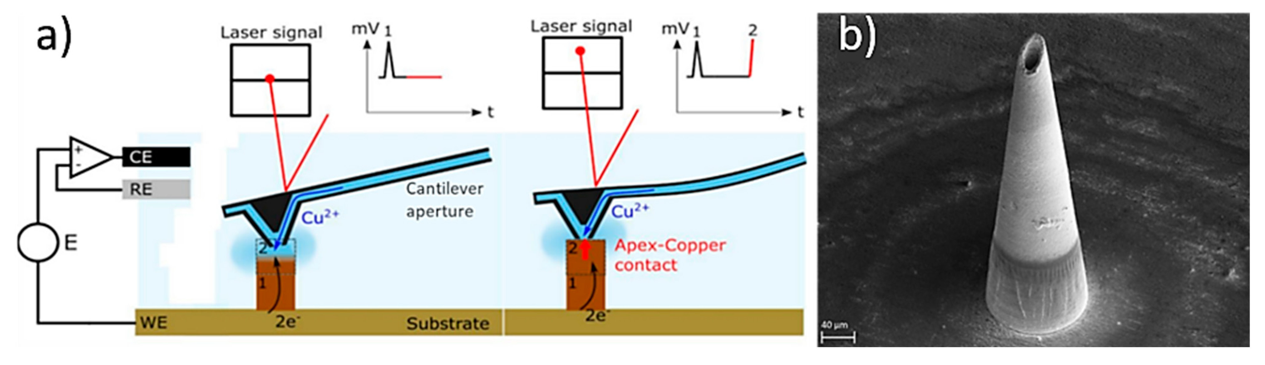 Bioengineering 10 00024 g010