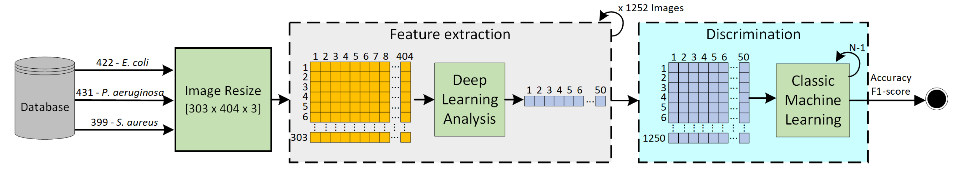 Bioengineering 10 00026 g001