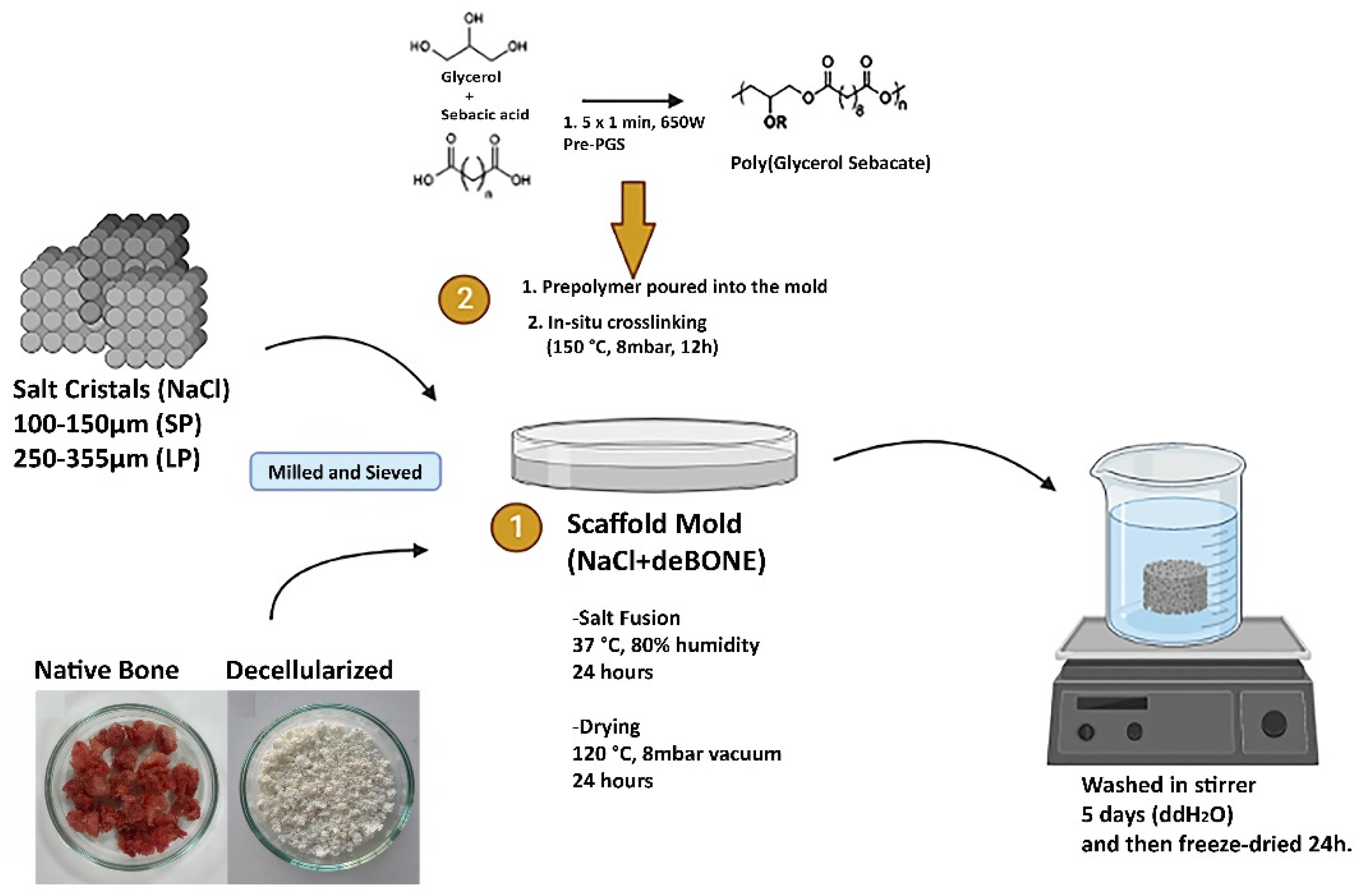 Bioengineering 10 00030 g001
