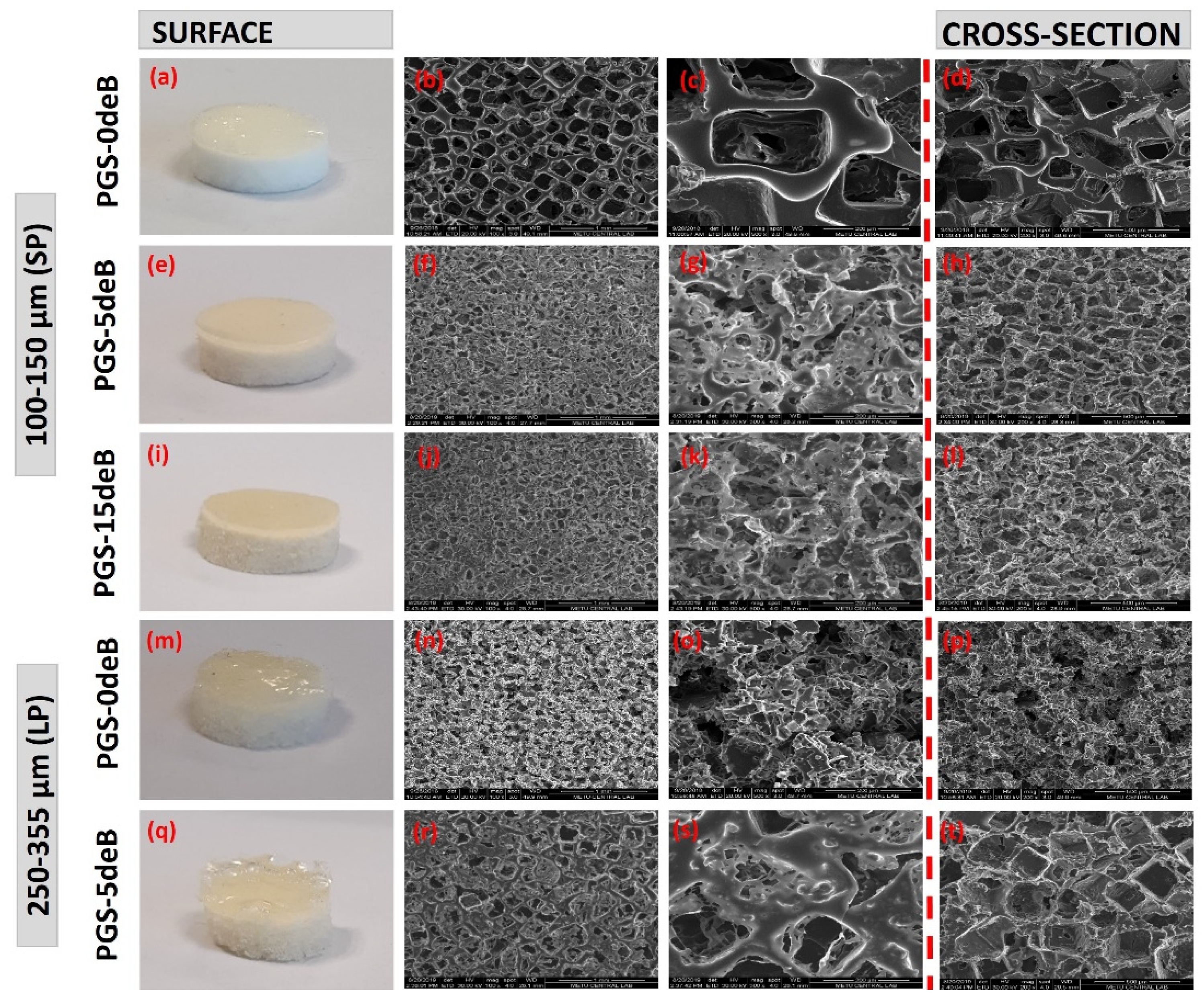 Bioengineering 10 00030 g003