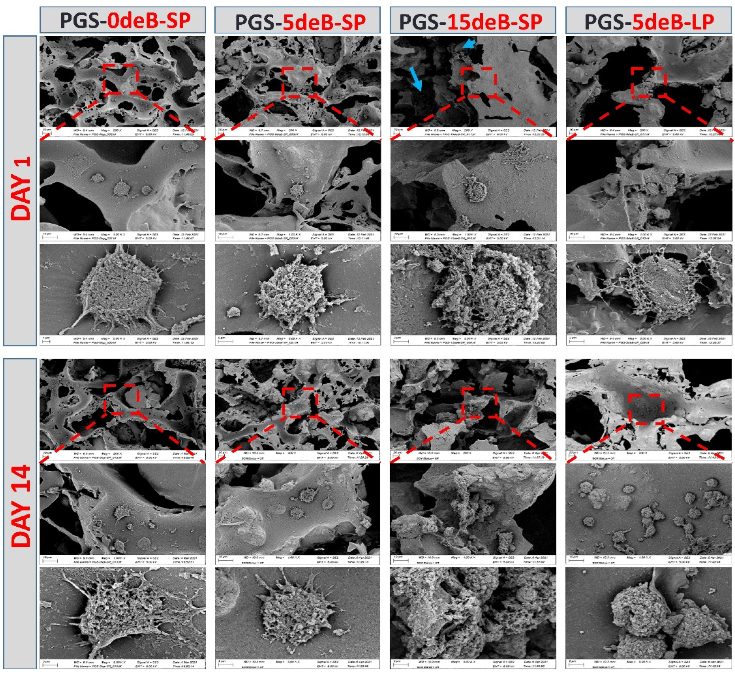 Bioengineering 10 00030 g011