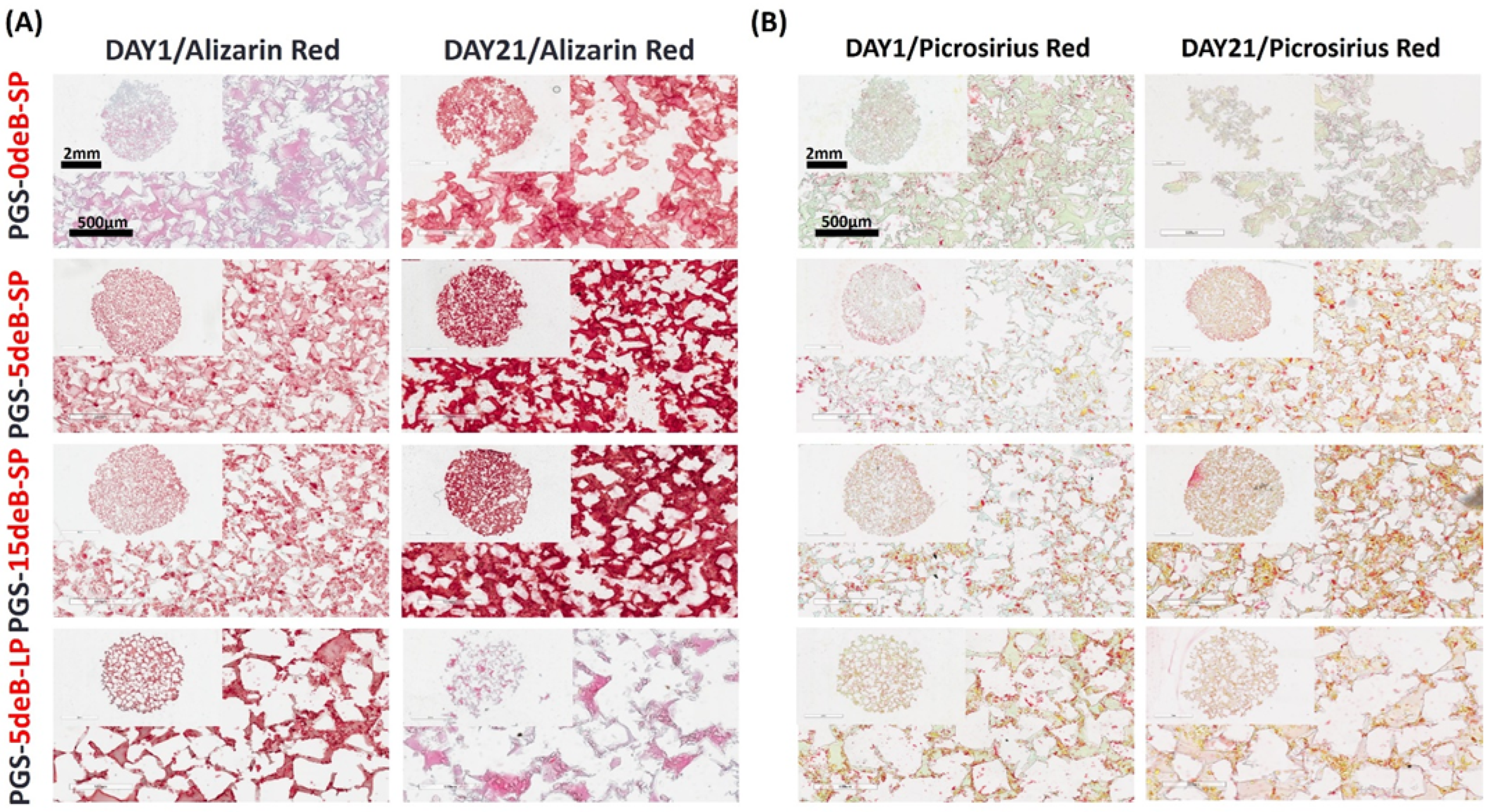 Bioengineering 10 00030 g013
