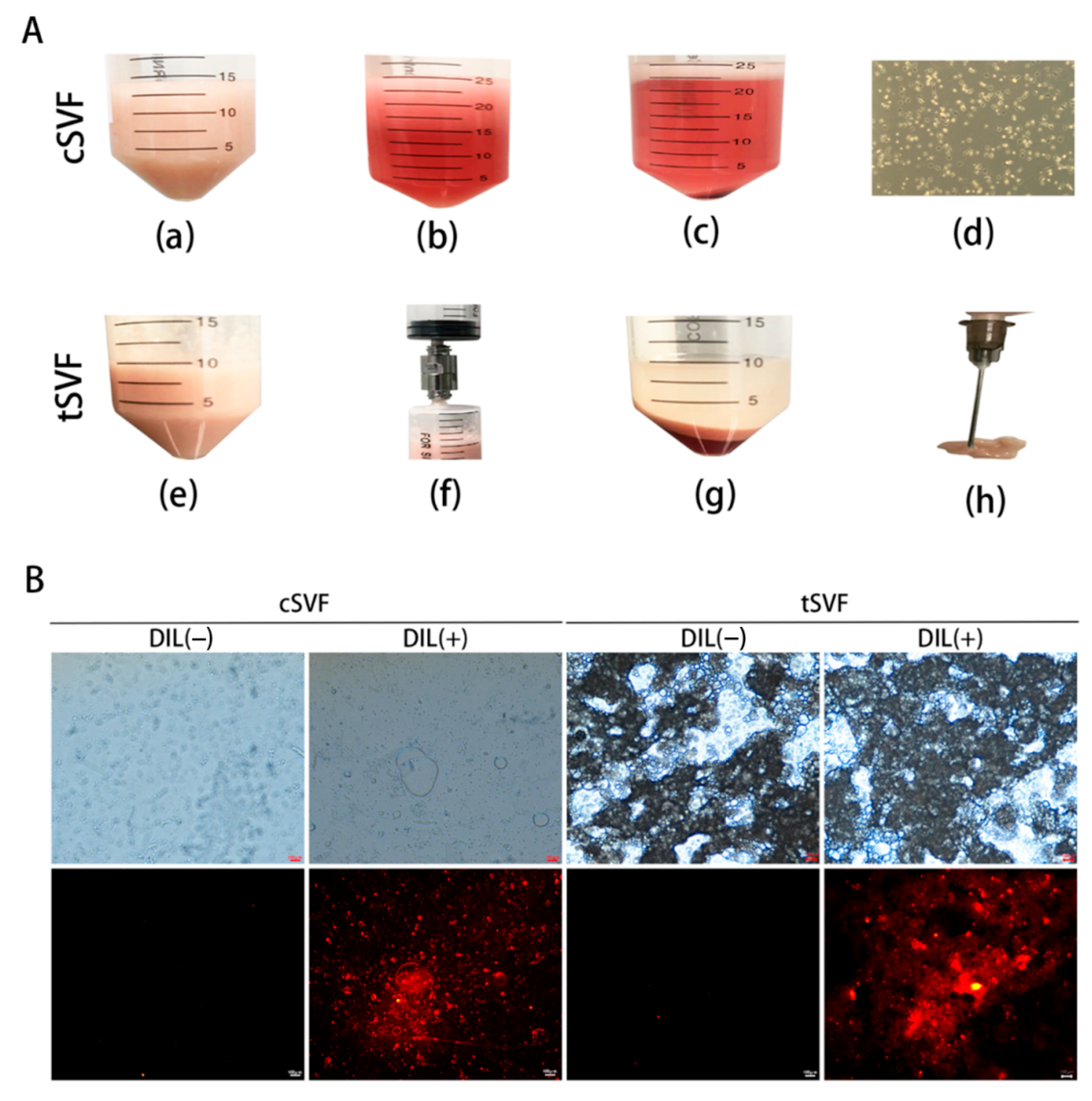 Bioengineering 10 00032 g001
