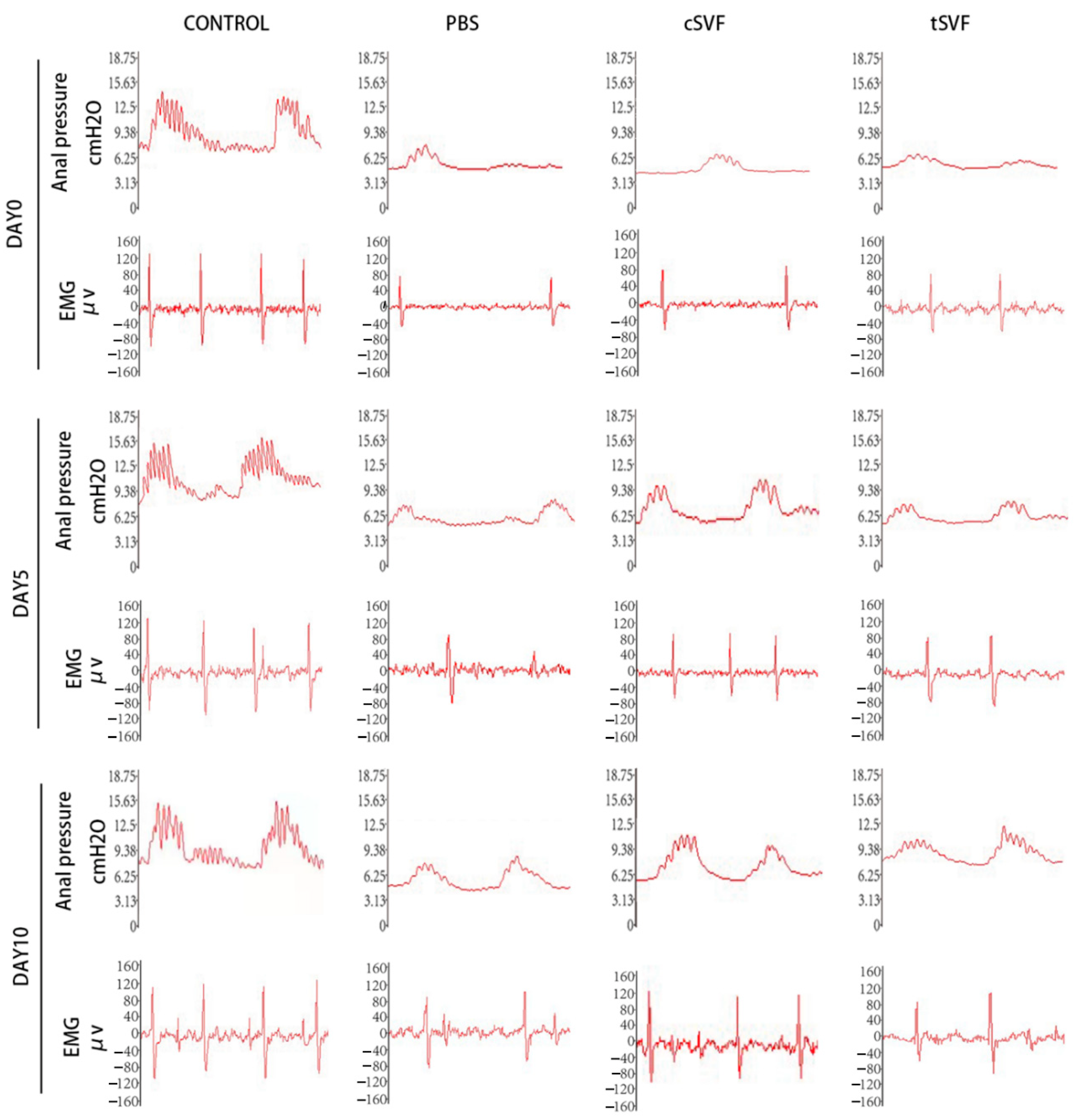 Bioengineering 10 00032 g002