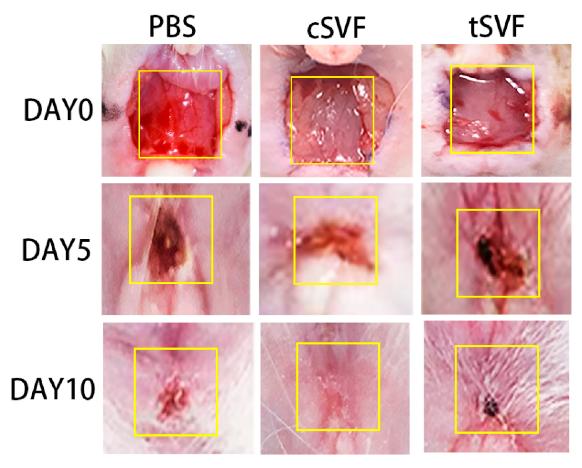 Bioengineering 10 00032 g005
