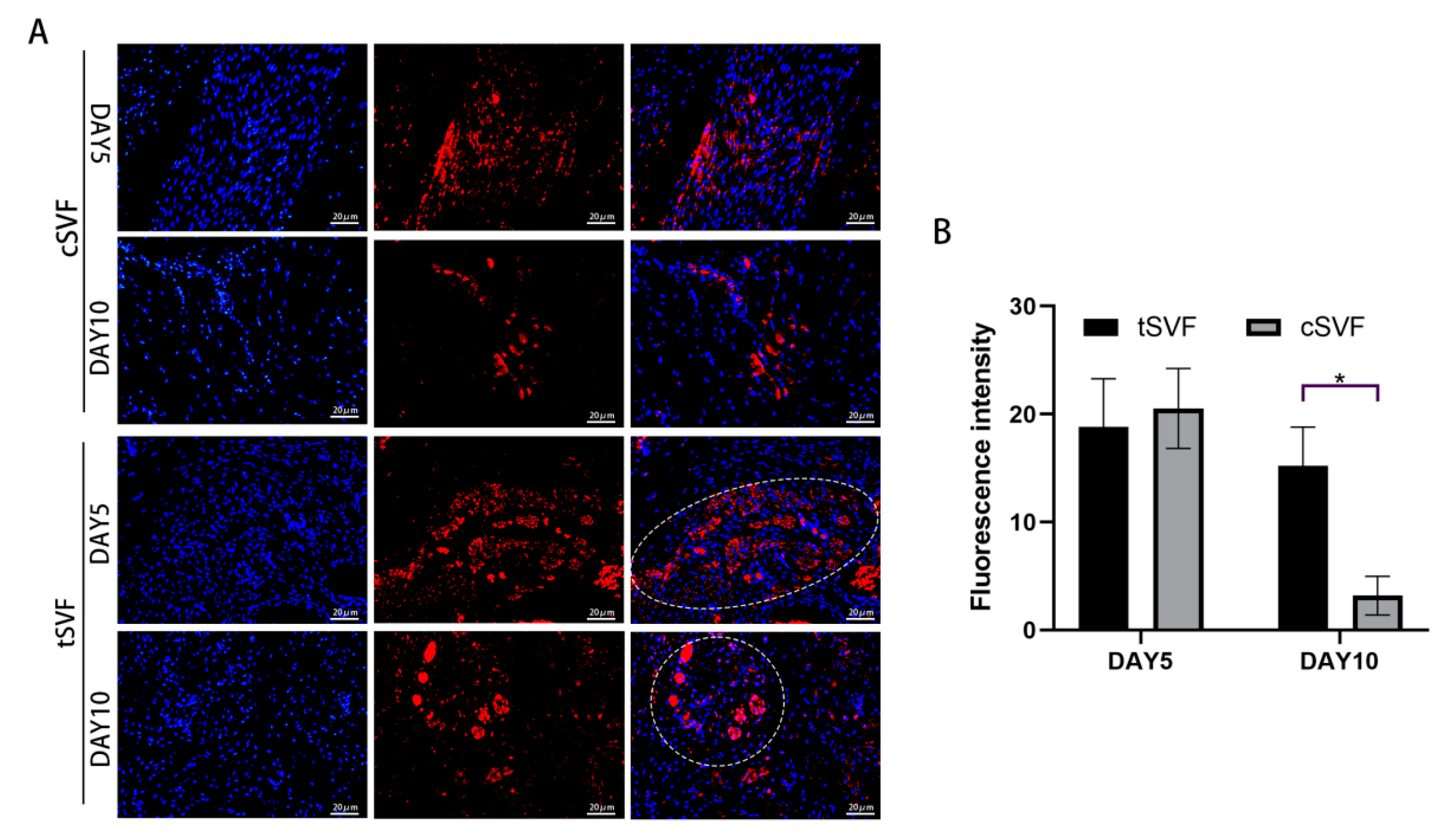 Bioengineering 10 00032 g007