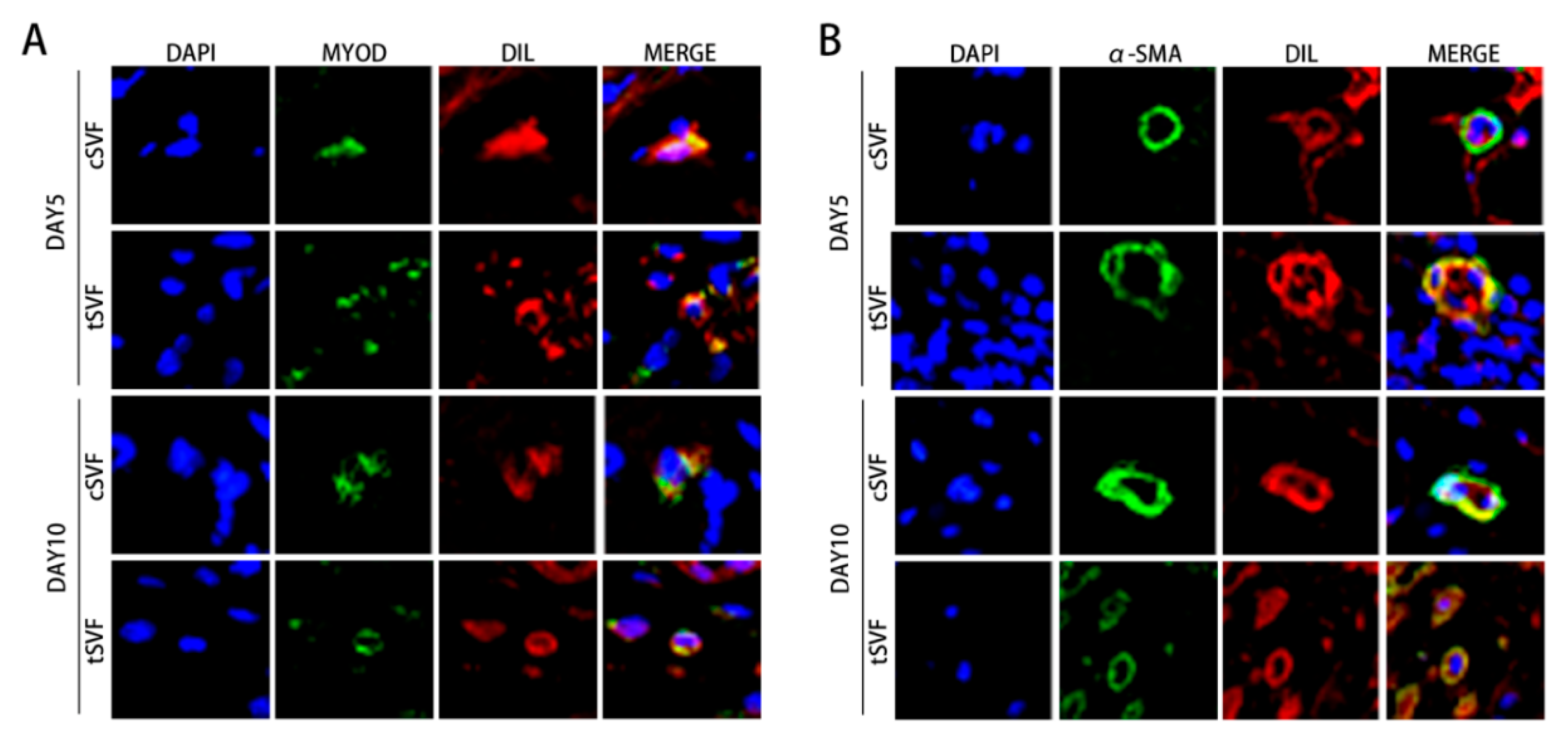 Bioengineering 10 00032 g009