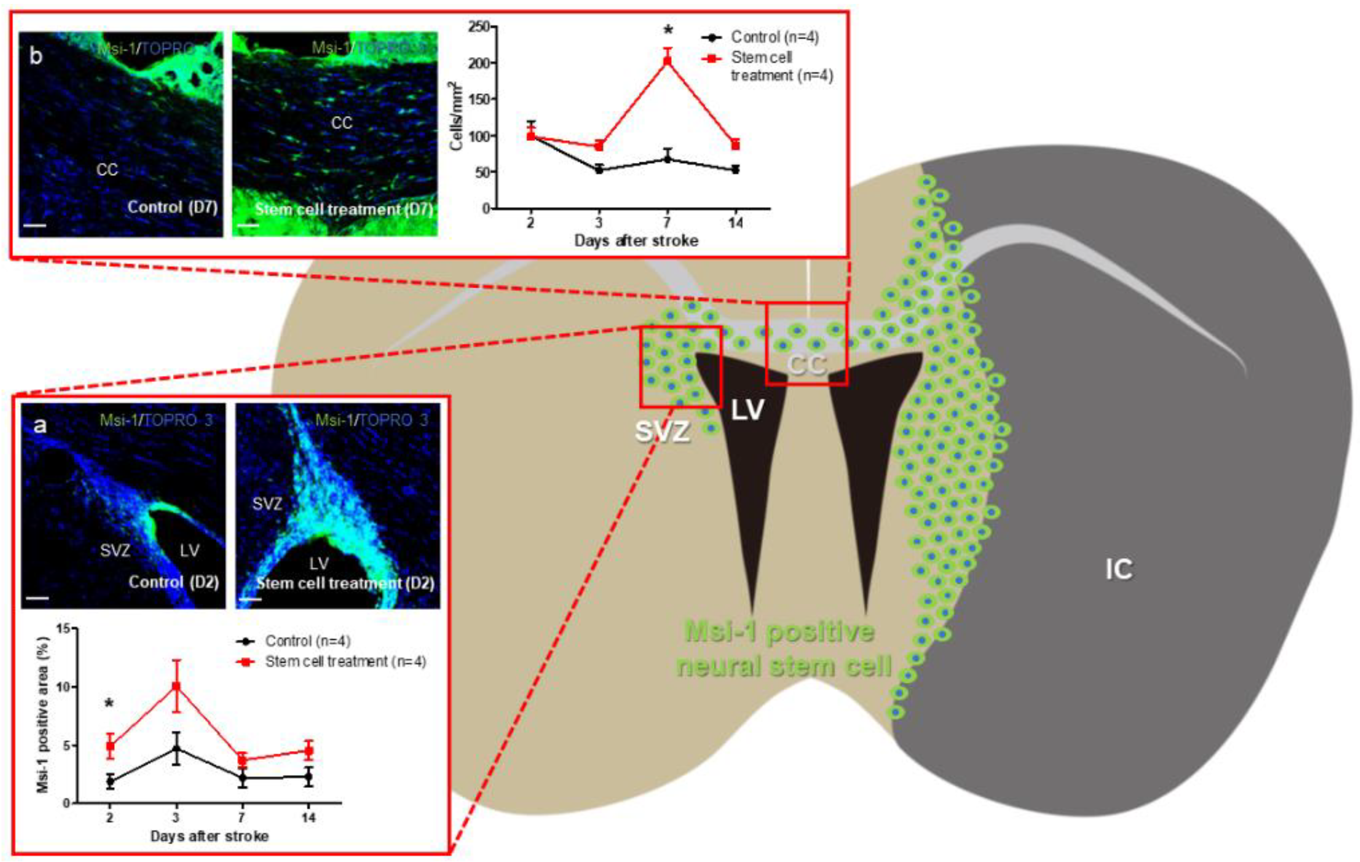Bioengineering 10 00033 g002
