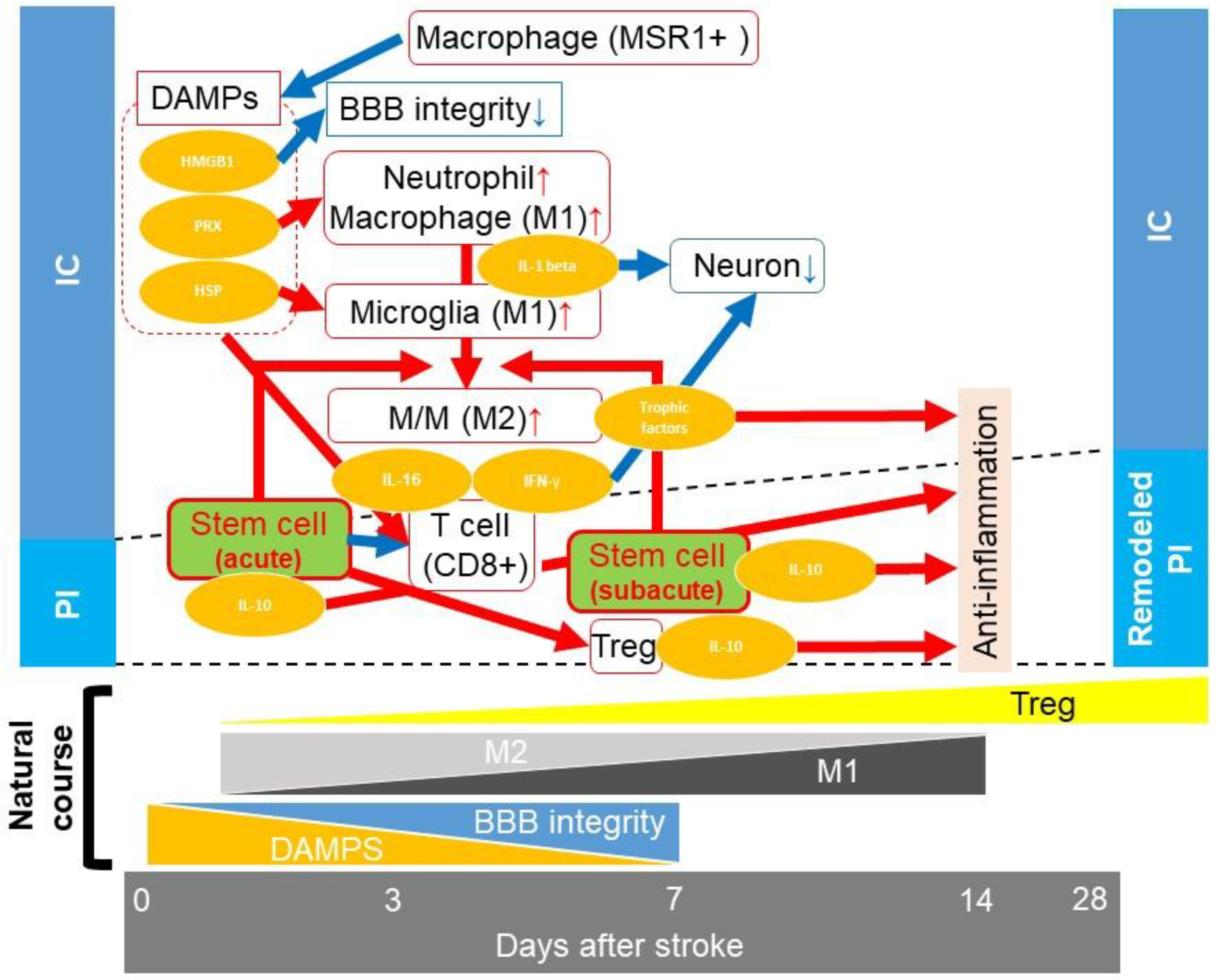 Bioengineering 10 00033 g004