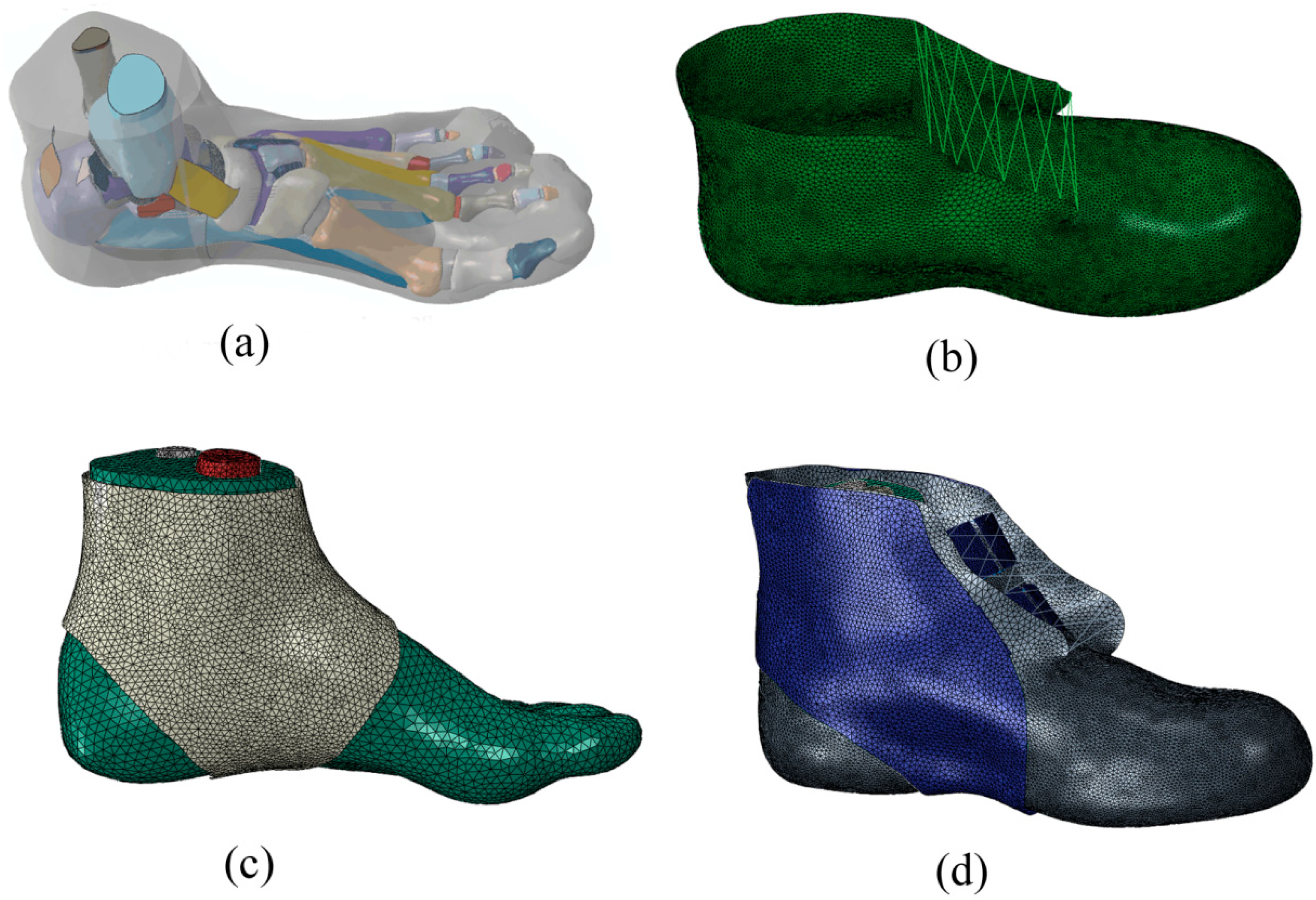 Bioengineering 10 00034 g003