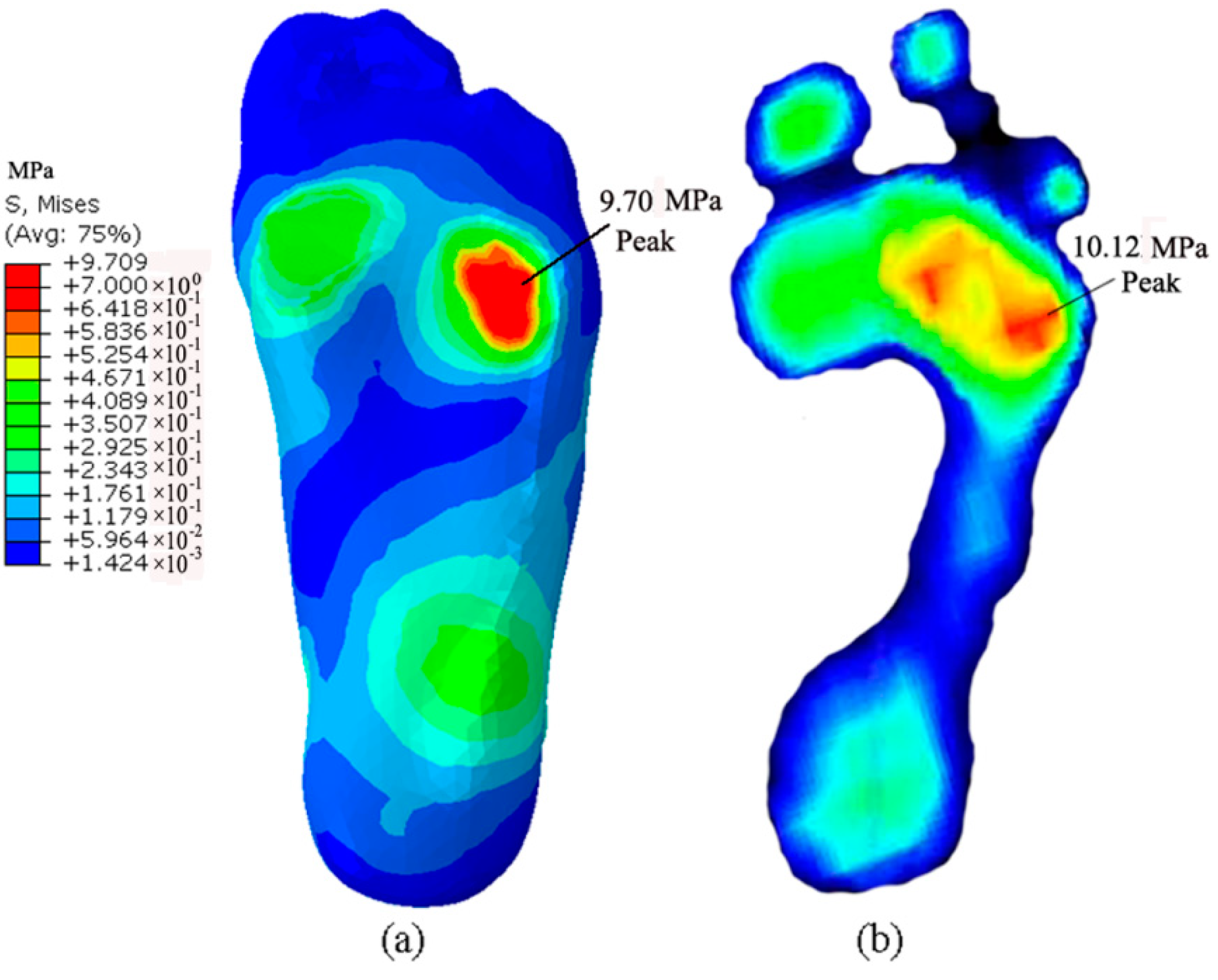 Bioengineering 10 00034 g004