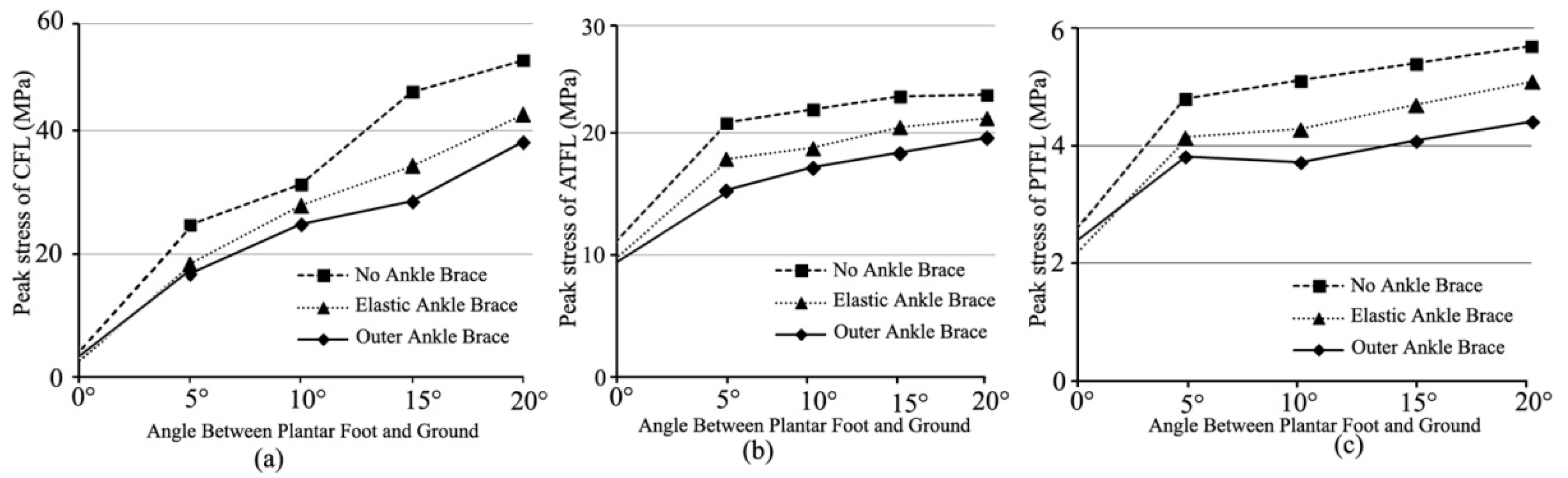 Bioengineering 10 00034 g005