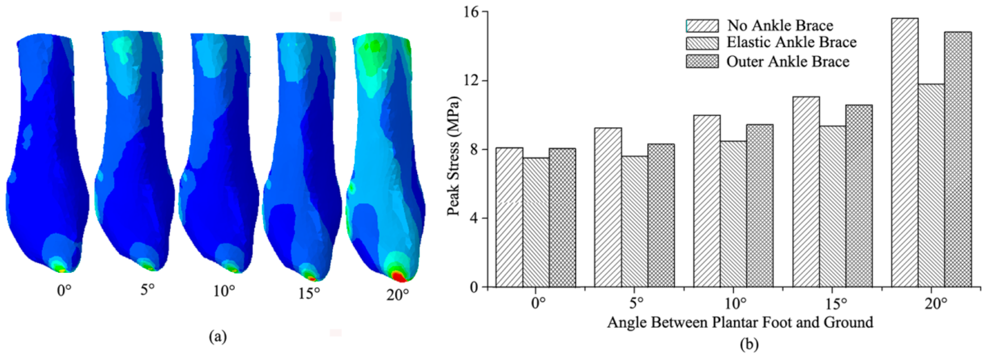 Bioengineering 10 00034 g007