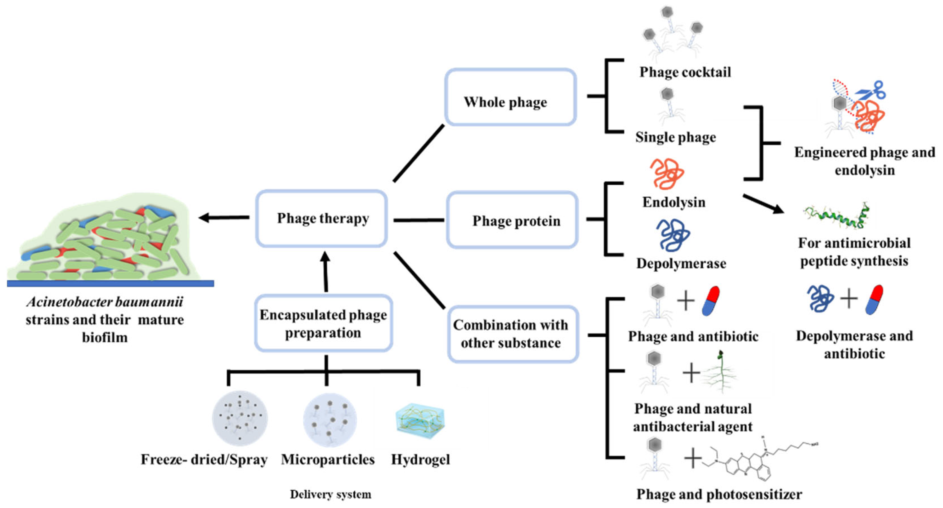 Bioengineering 10 00035 g001