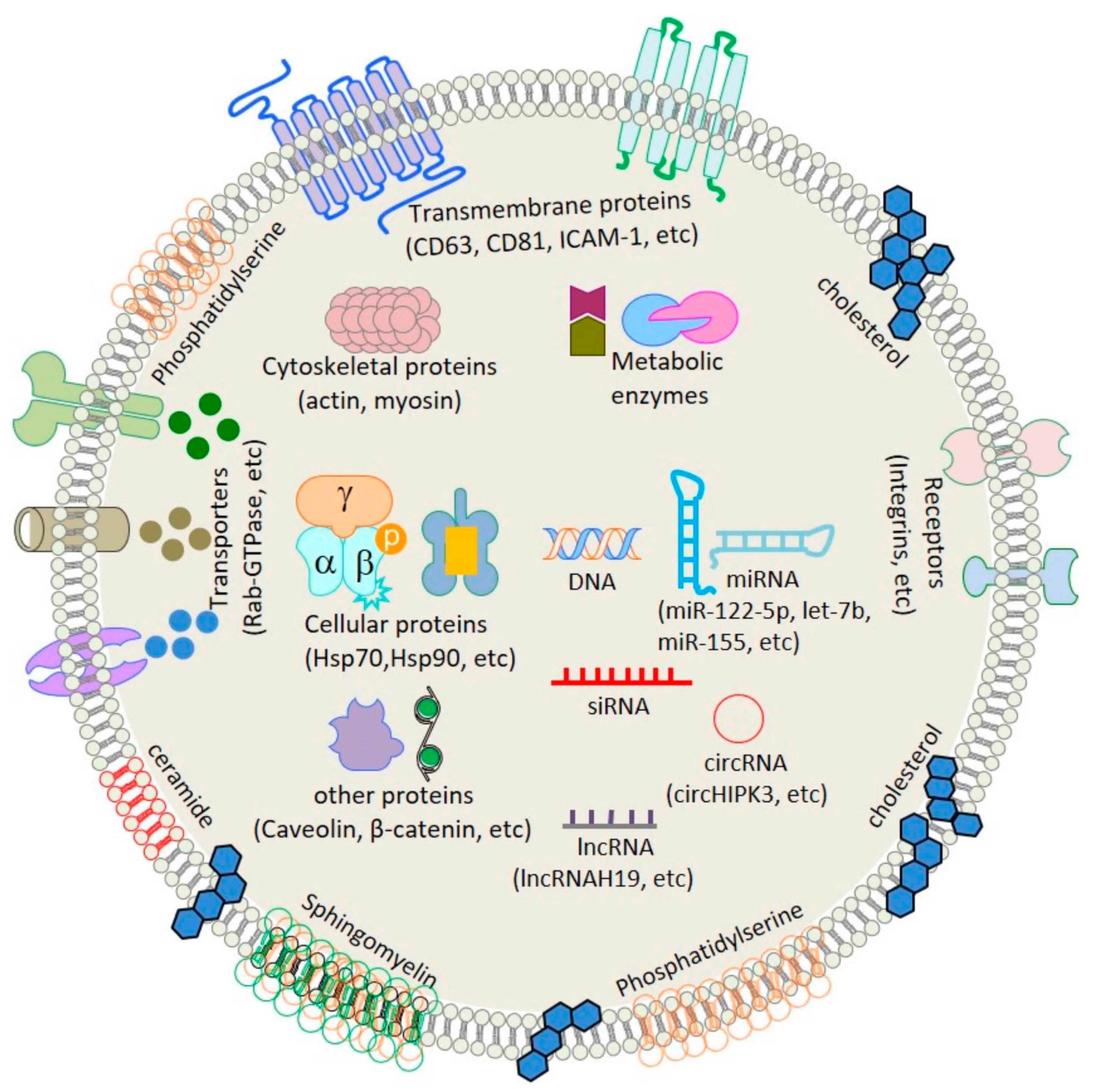 Bioengineering 10 00051 g002