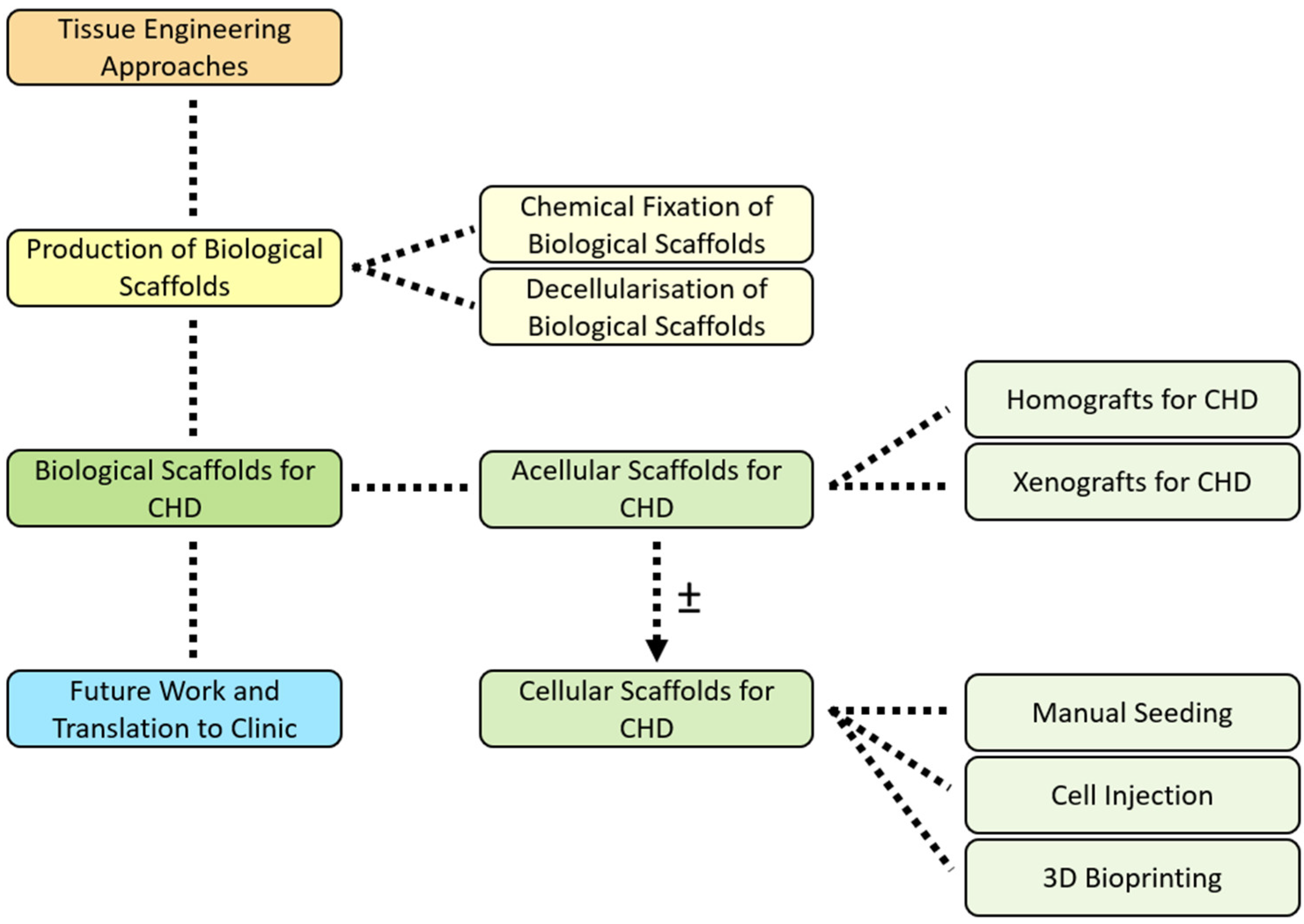 Bioengineering 10 00057 g001