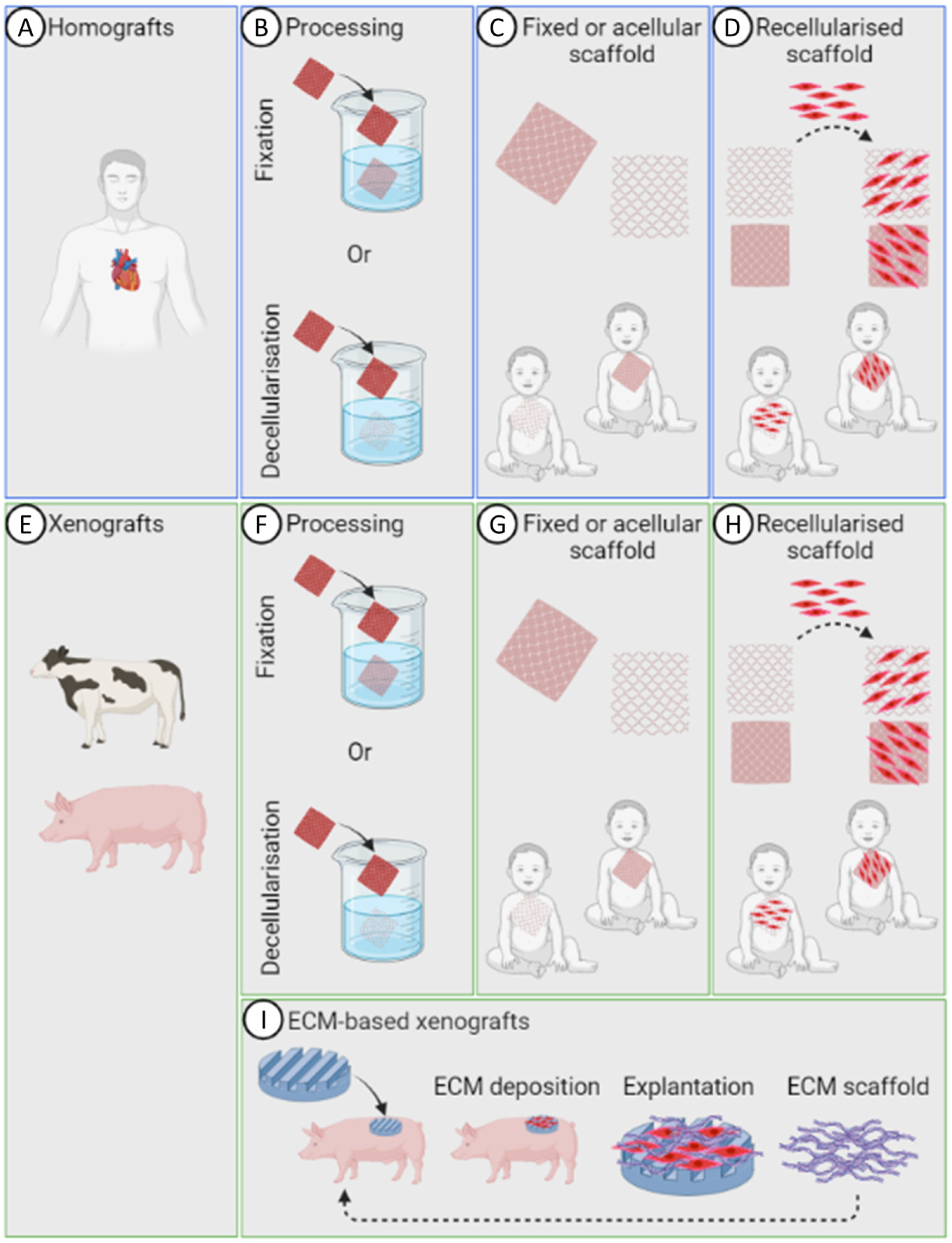 Bioengineering 10 00057 g002