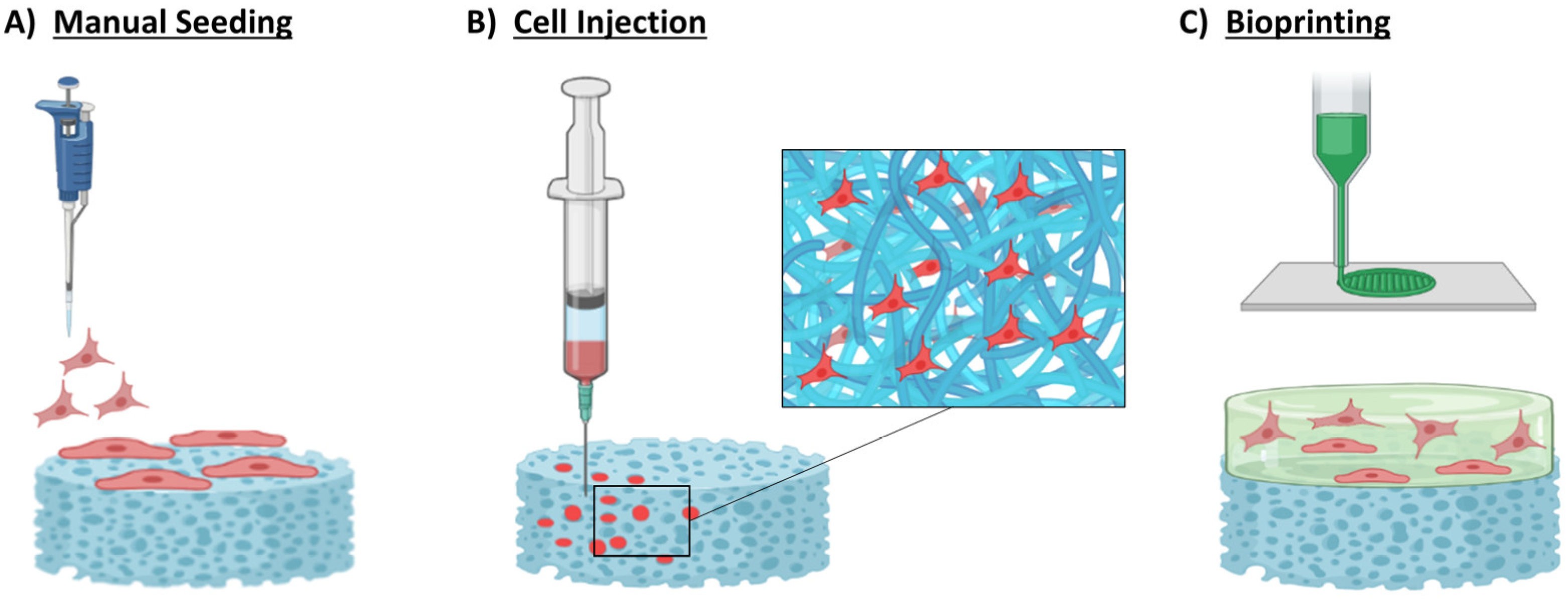 Bioengineering 10 00057 g003