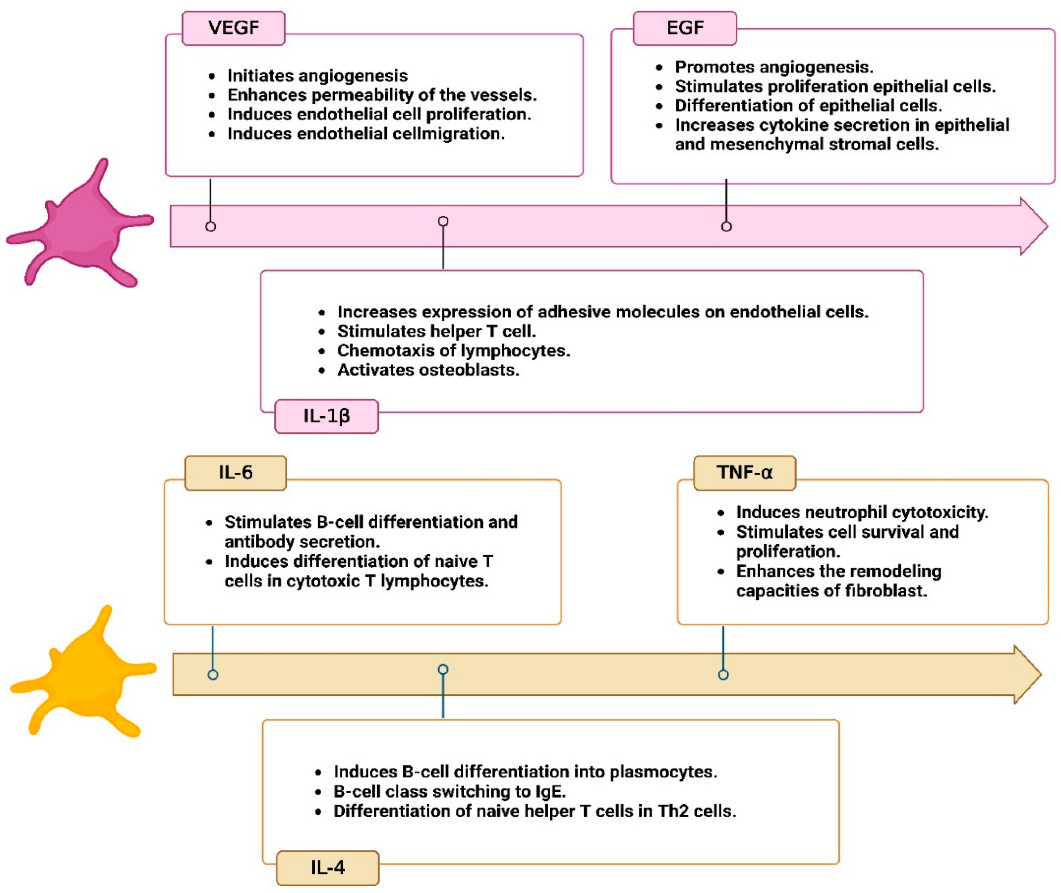 Bioengineering 10 00058 g002b