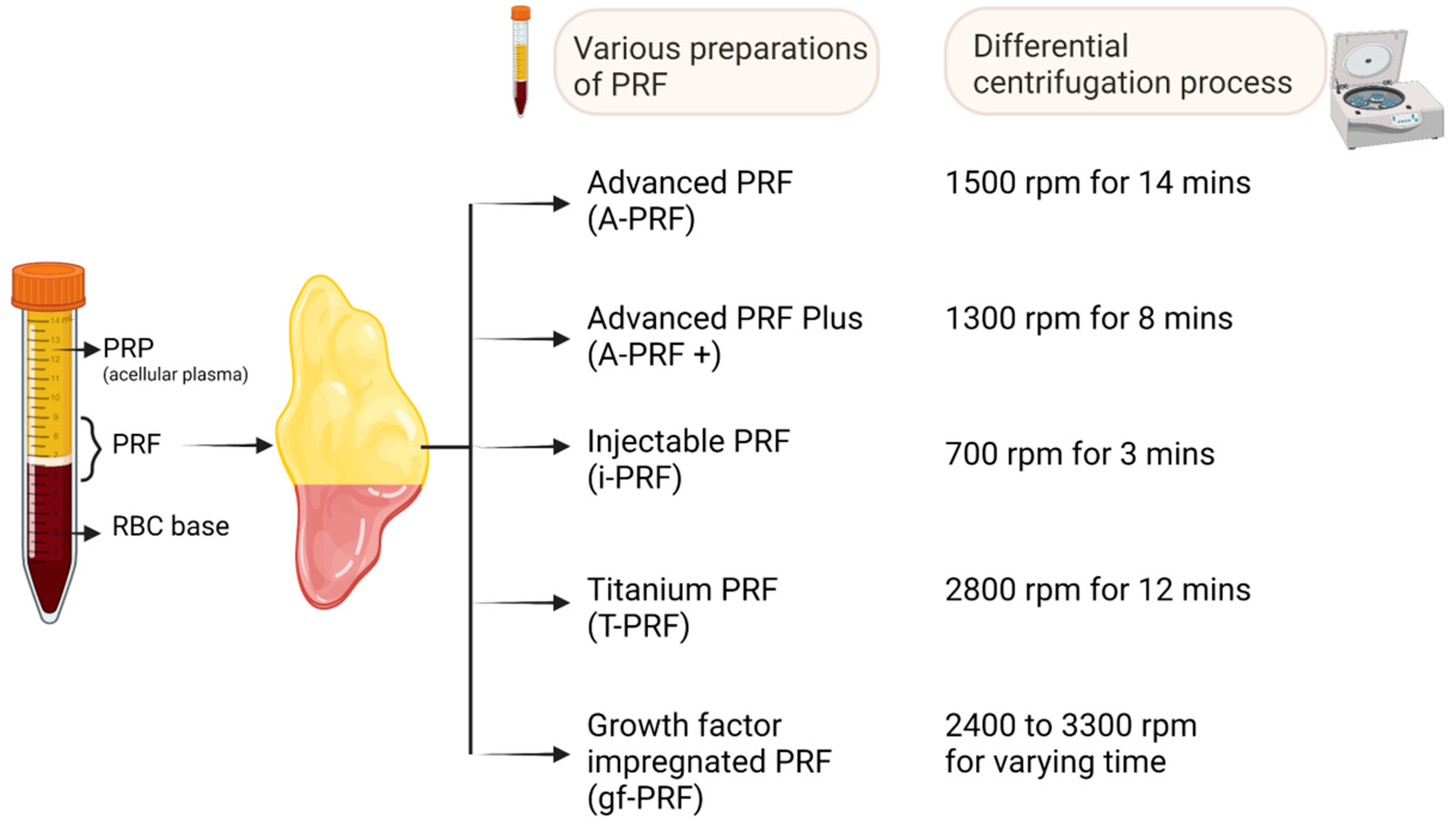 Bioengineering 10 00058 g004