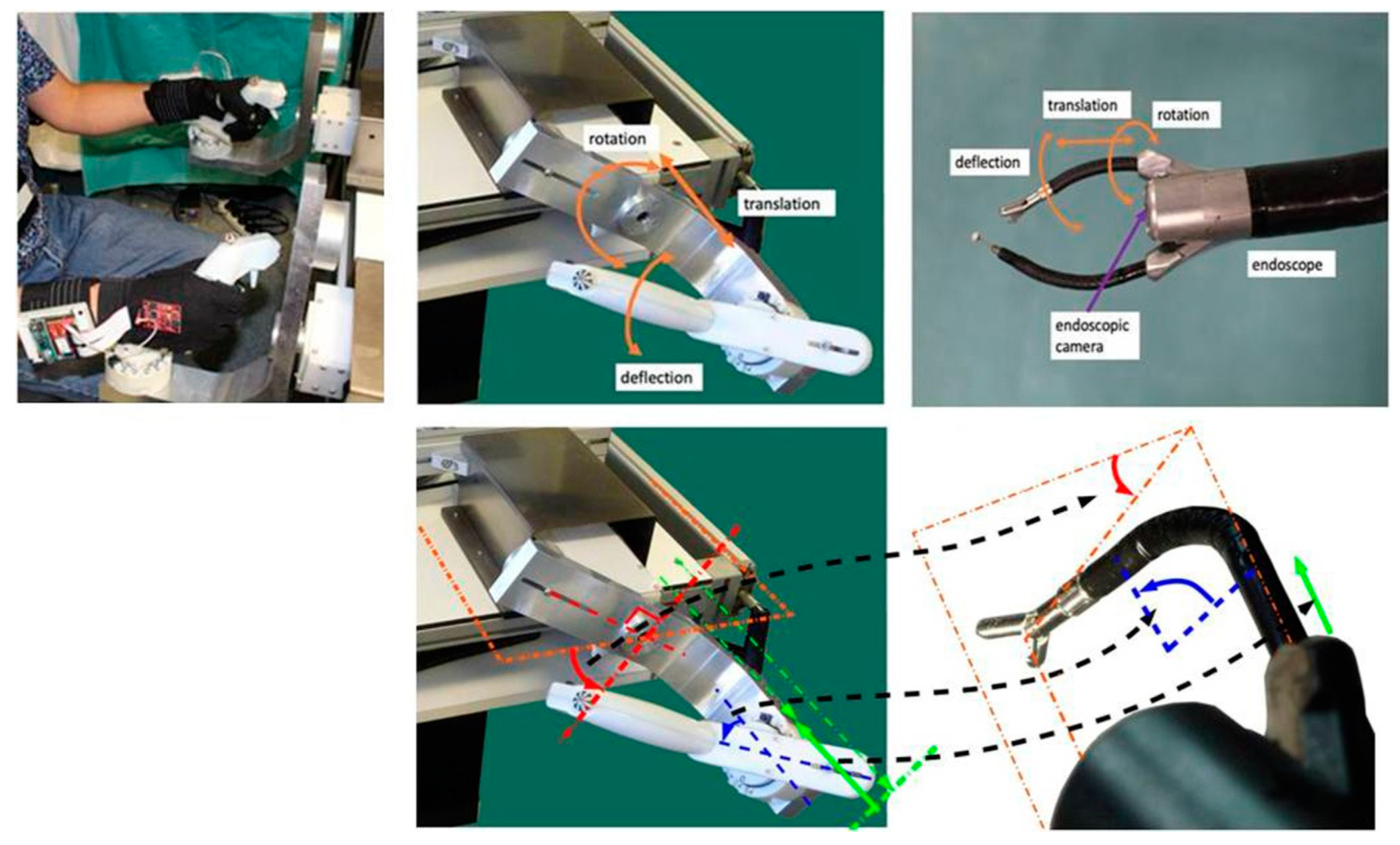 Bioengineering 10 00059 g002