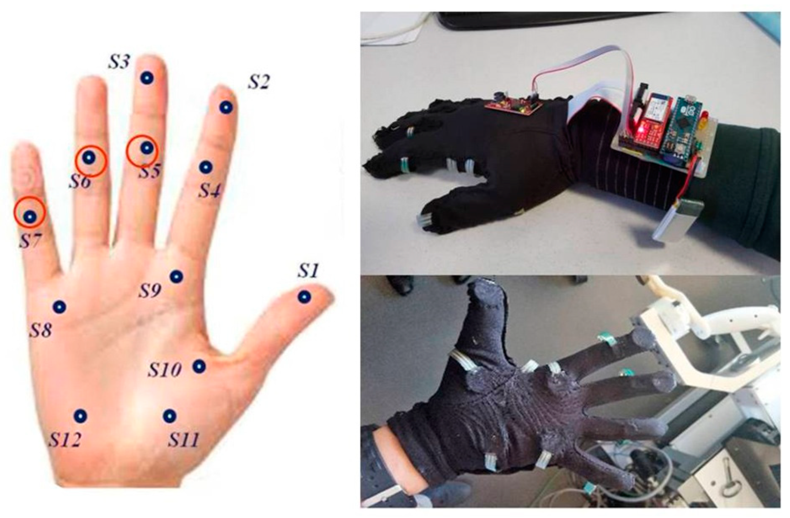 Bioengineering 10 00059 g004