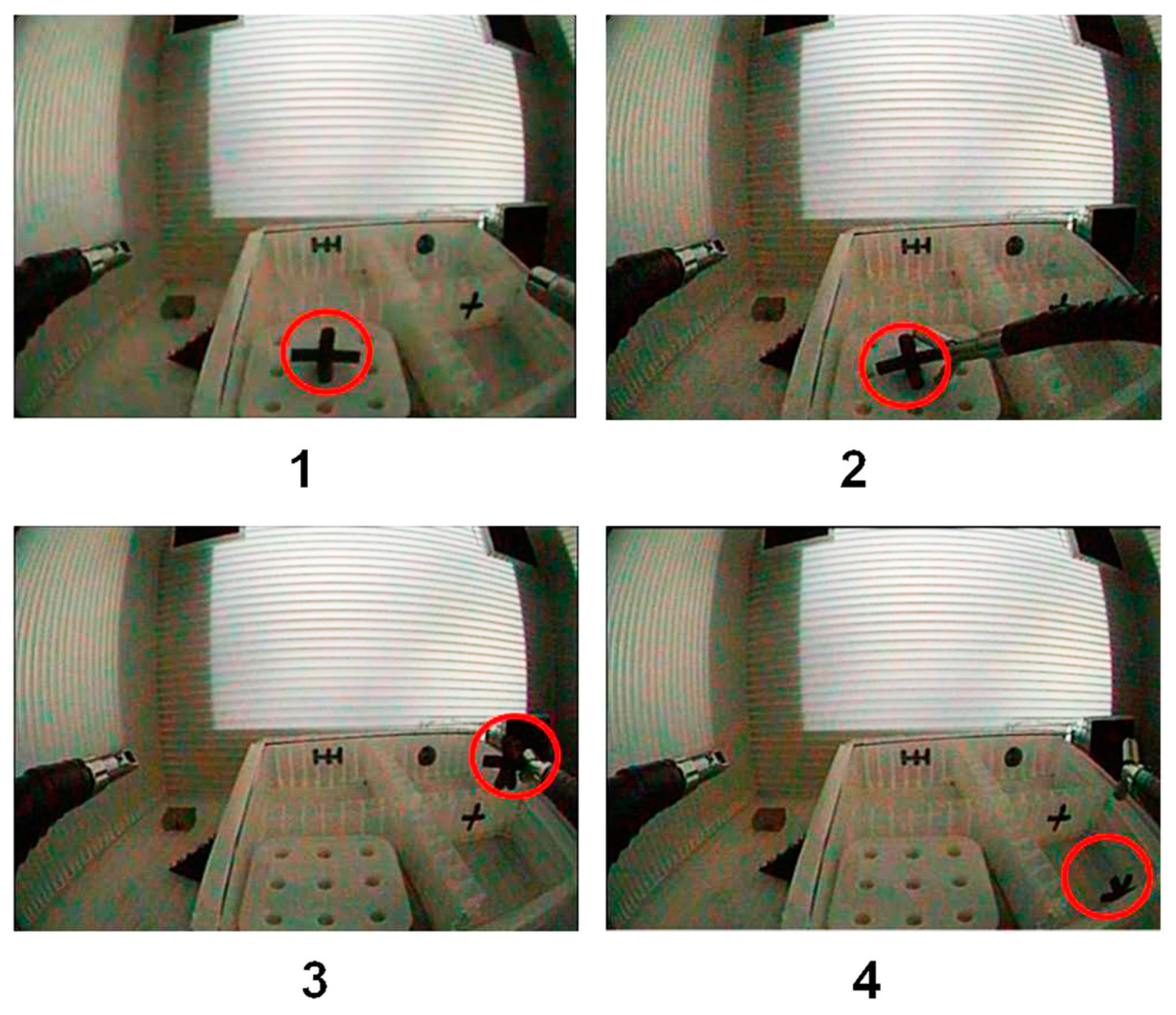 Bioengineering 10 00059 g005