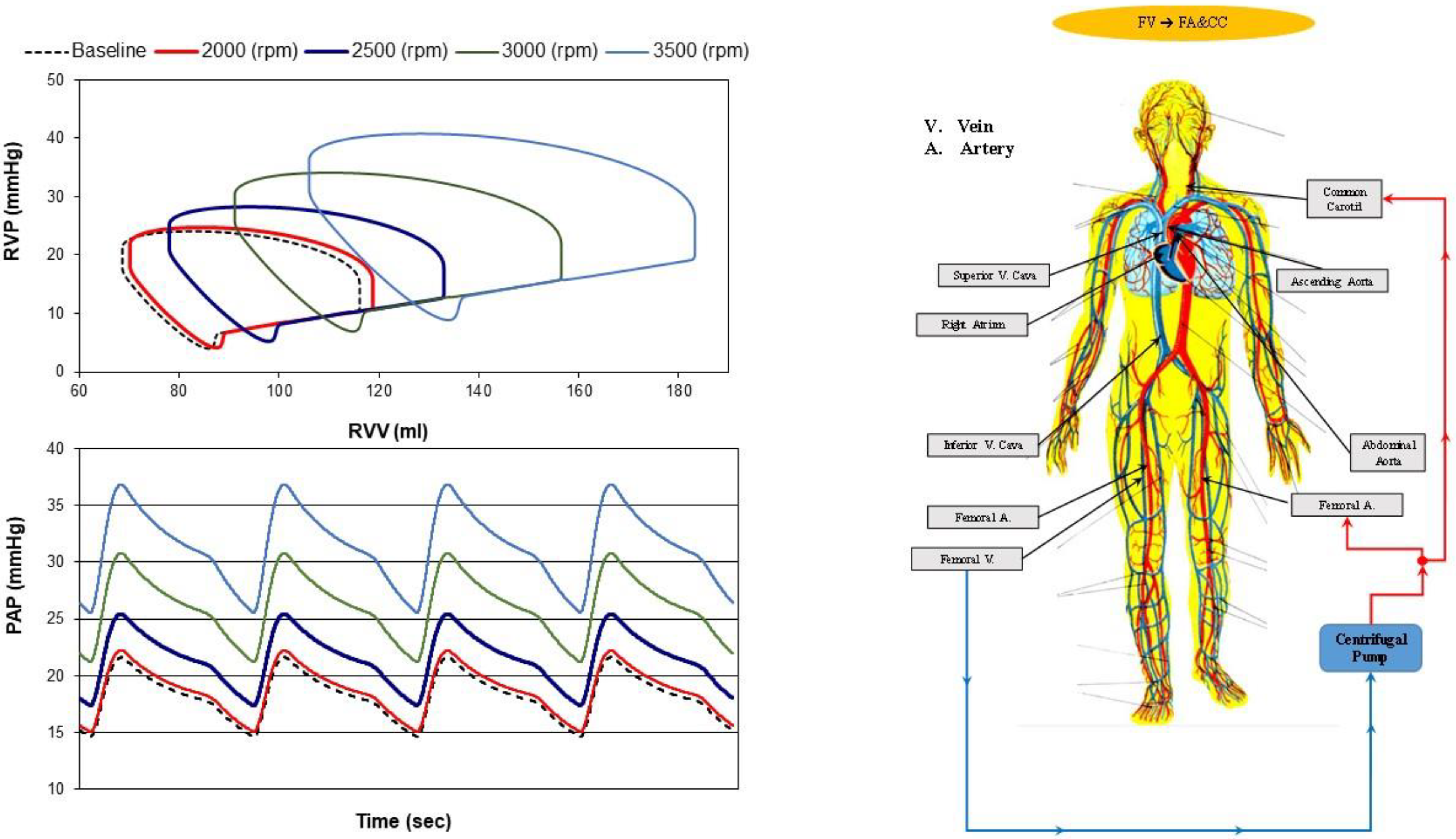Bioengineering 10 00060 g006