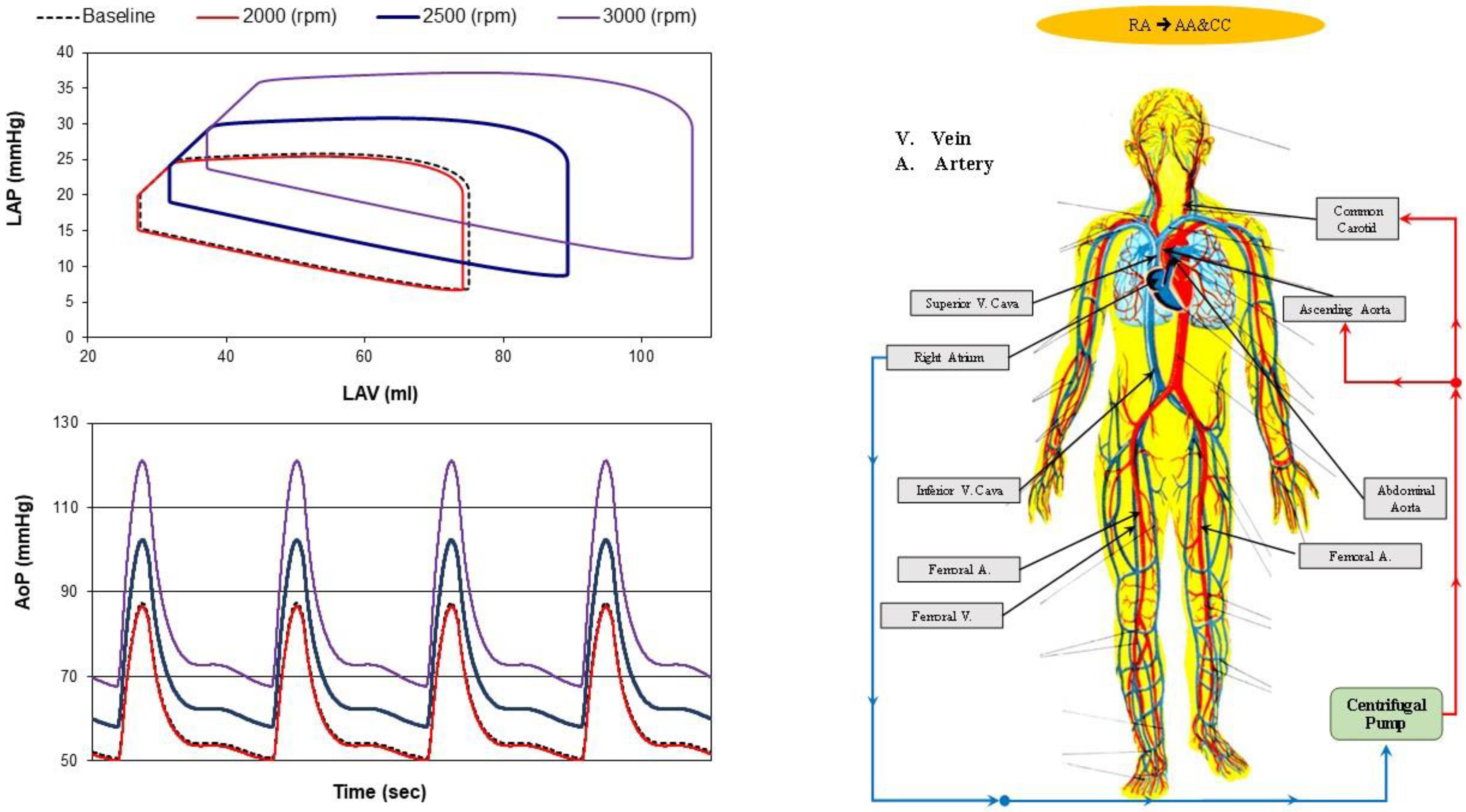 Bioengineering 10 00060 g007