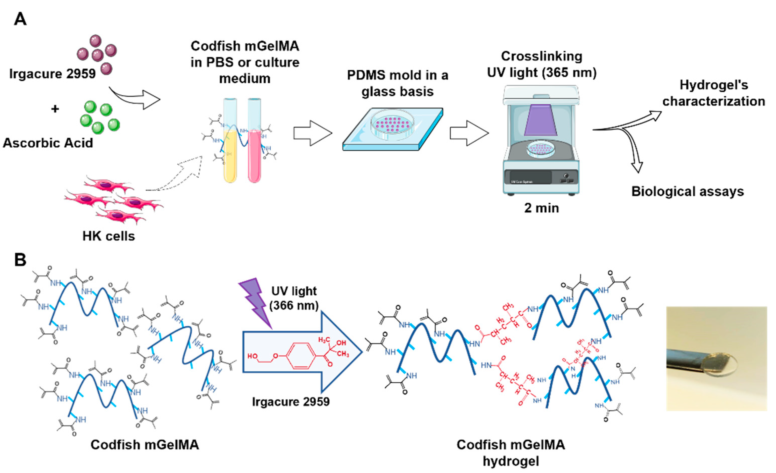 Bioengineering 10 00062 g003