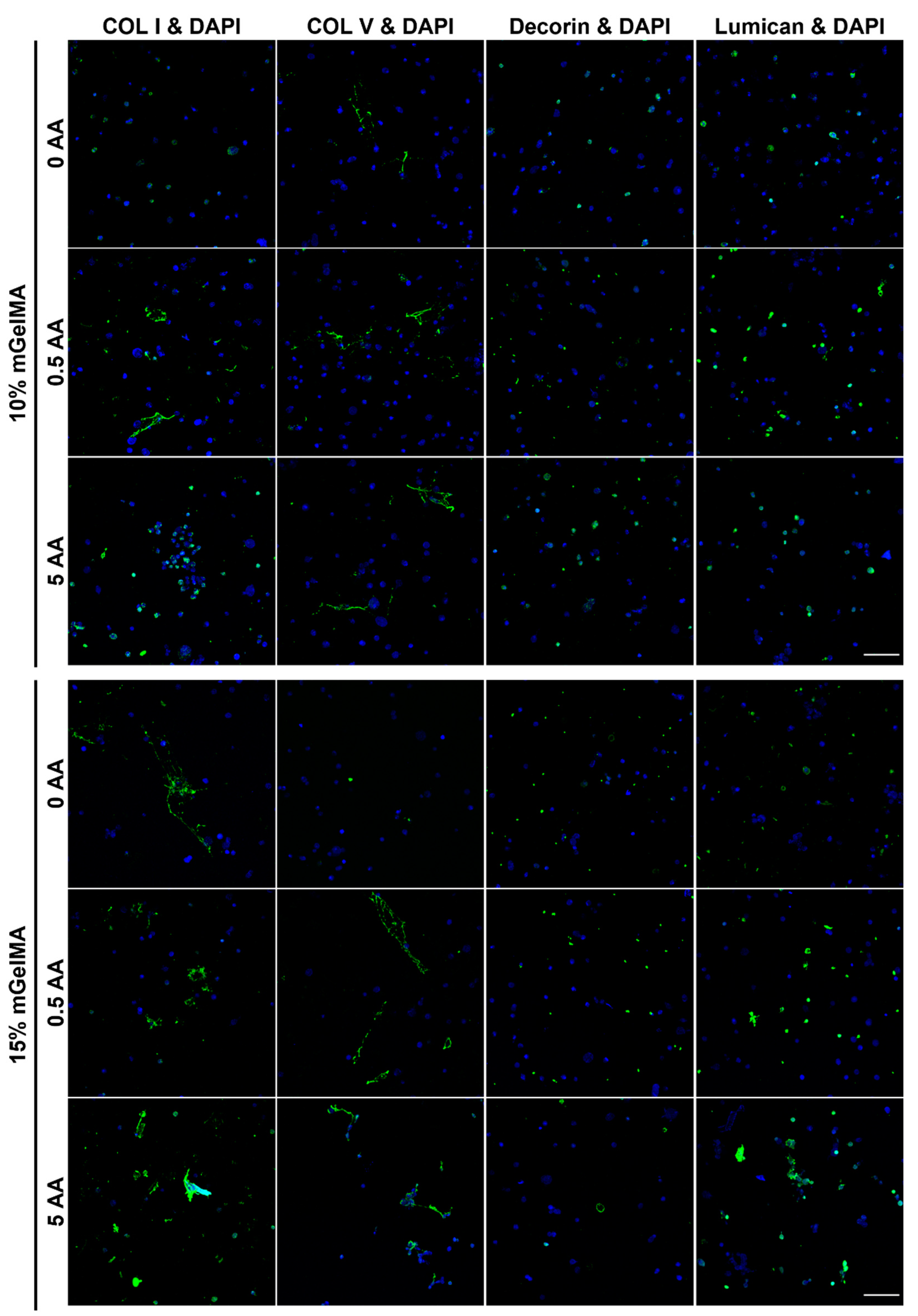 Bioengineering 10 00062 g012