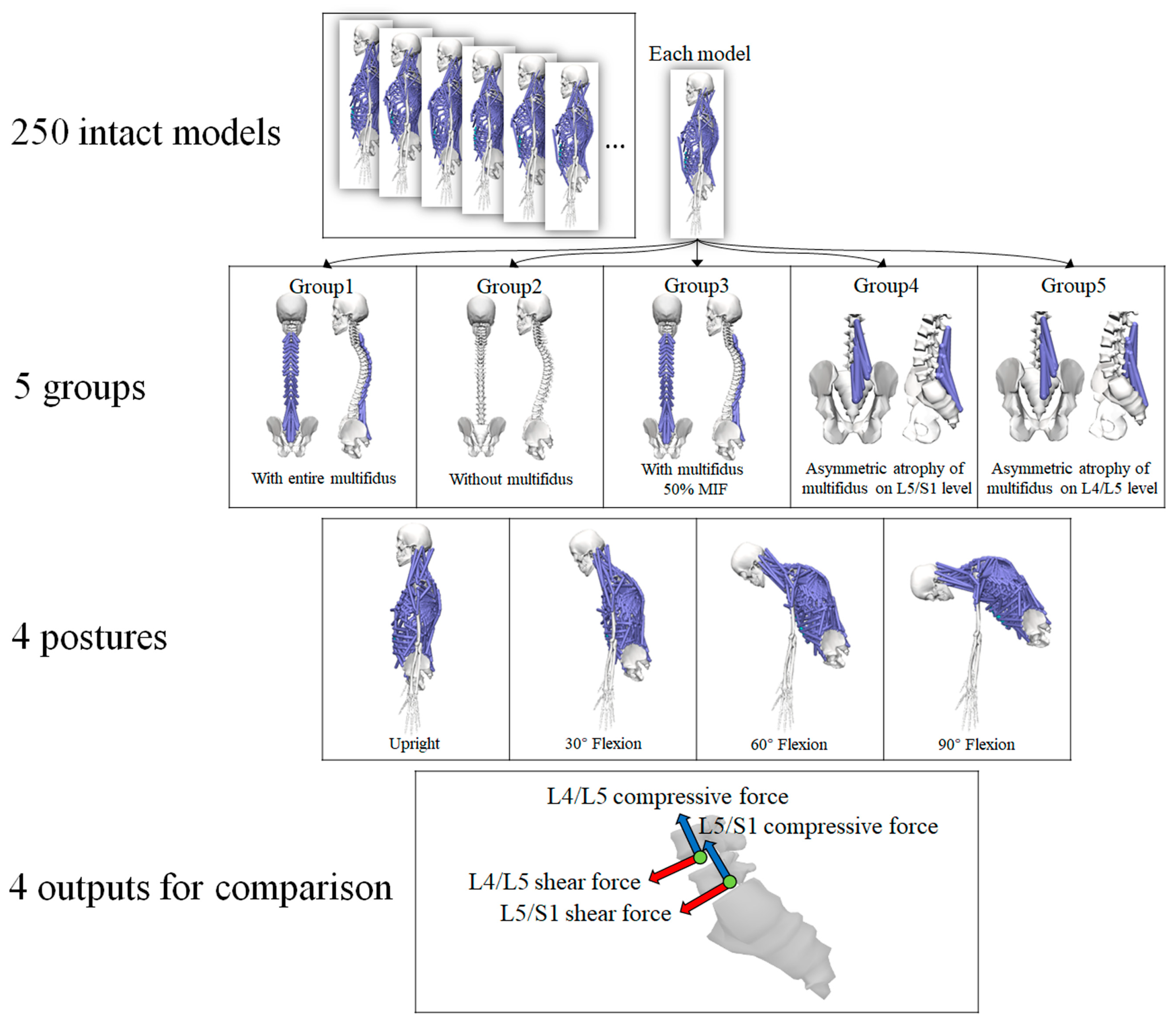 Bioengineering 10 00067 g001 Bioengineering 10 00067 g001