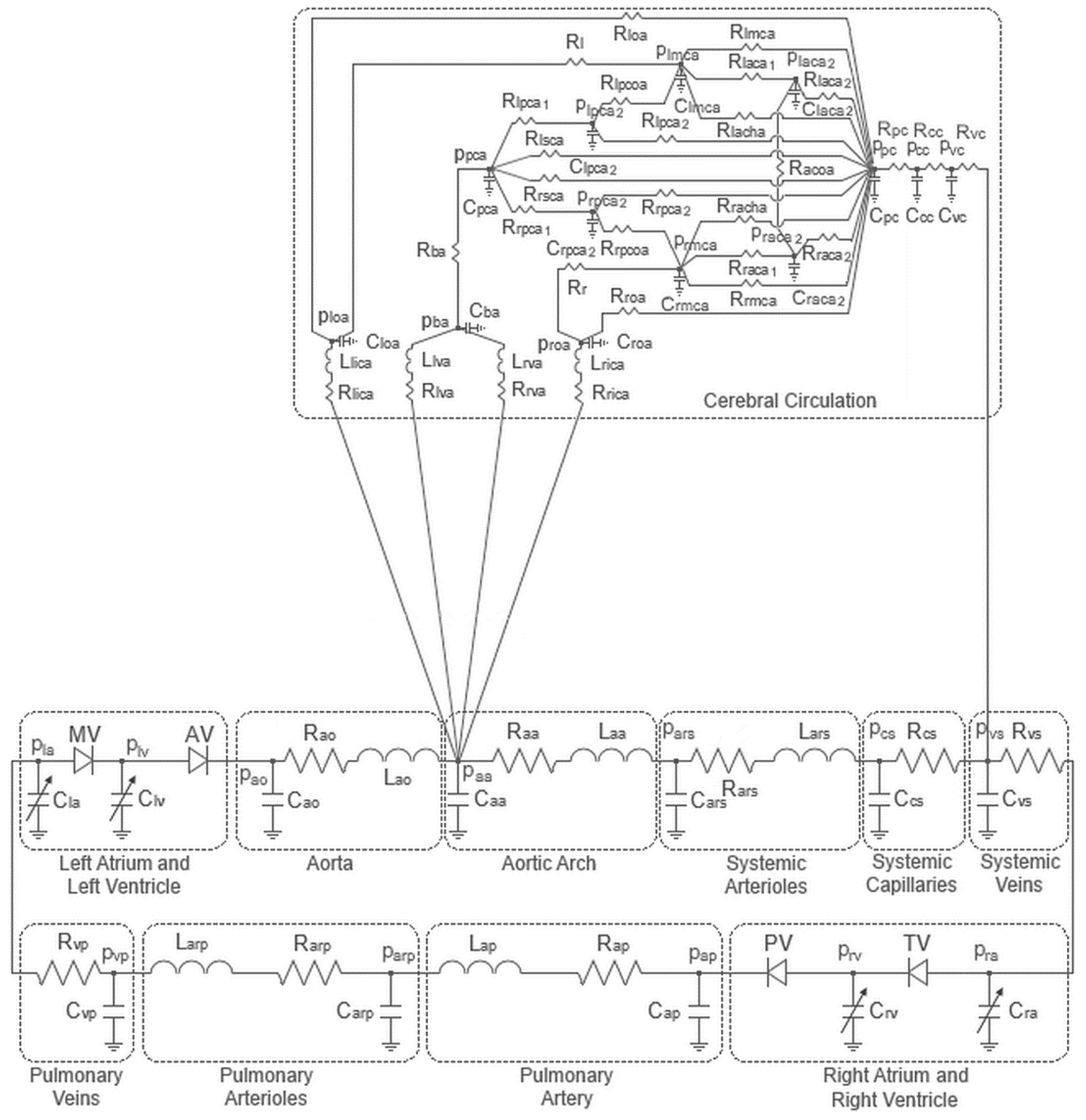 Bioengineering 10 00077 g001