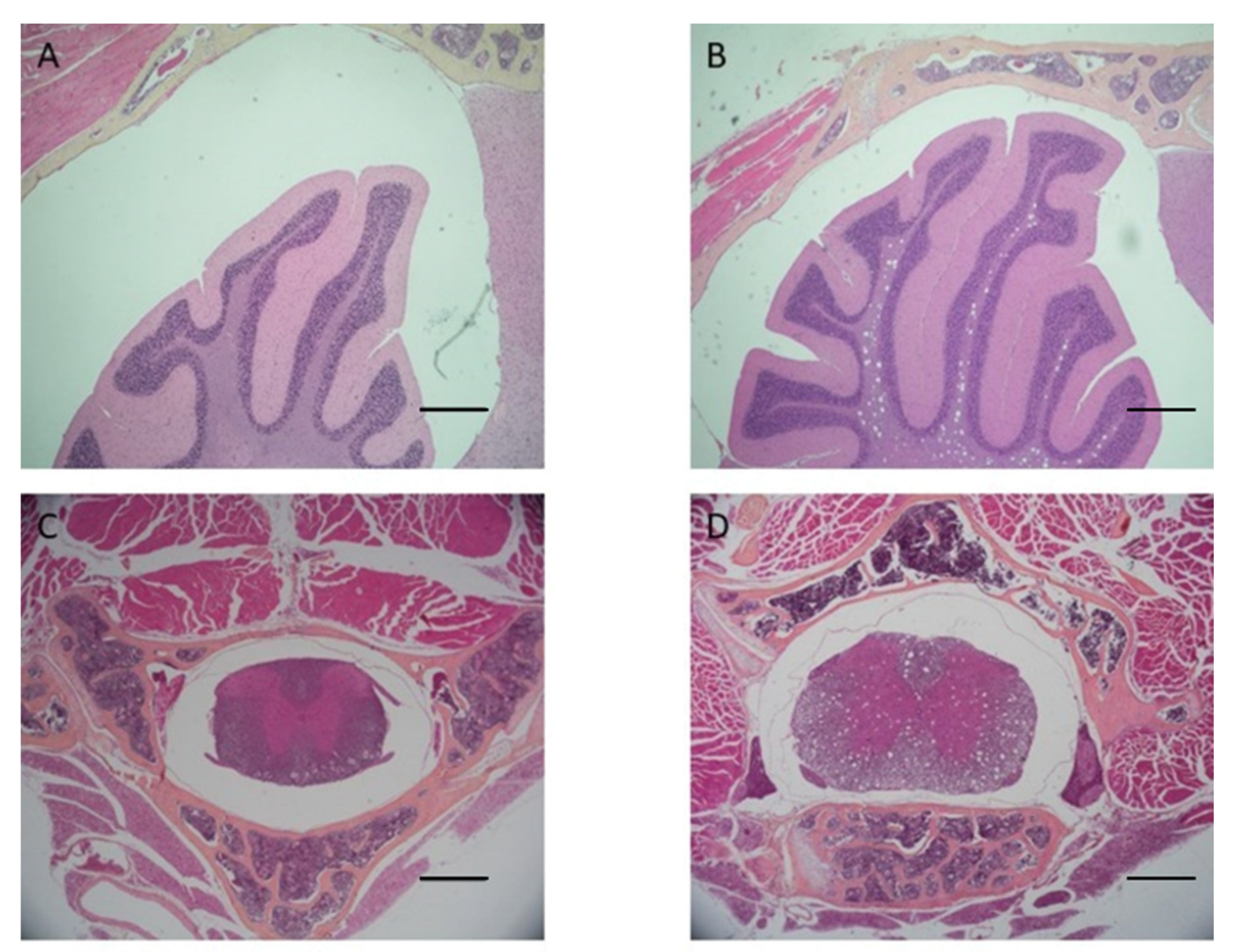 Bioengineering 10 00079 g004a