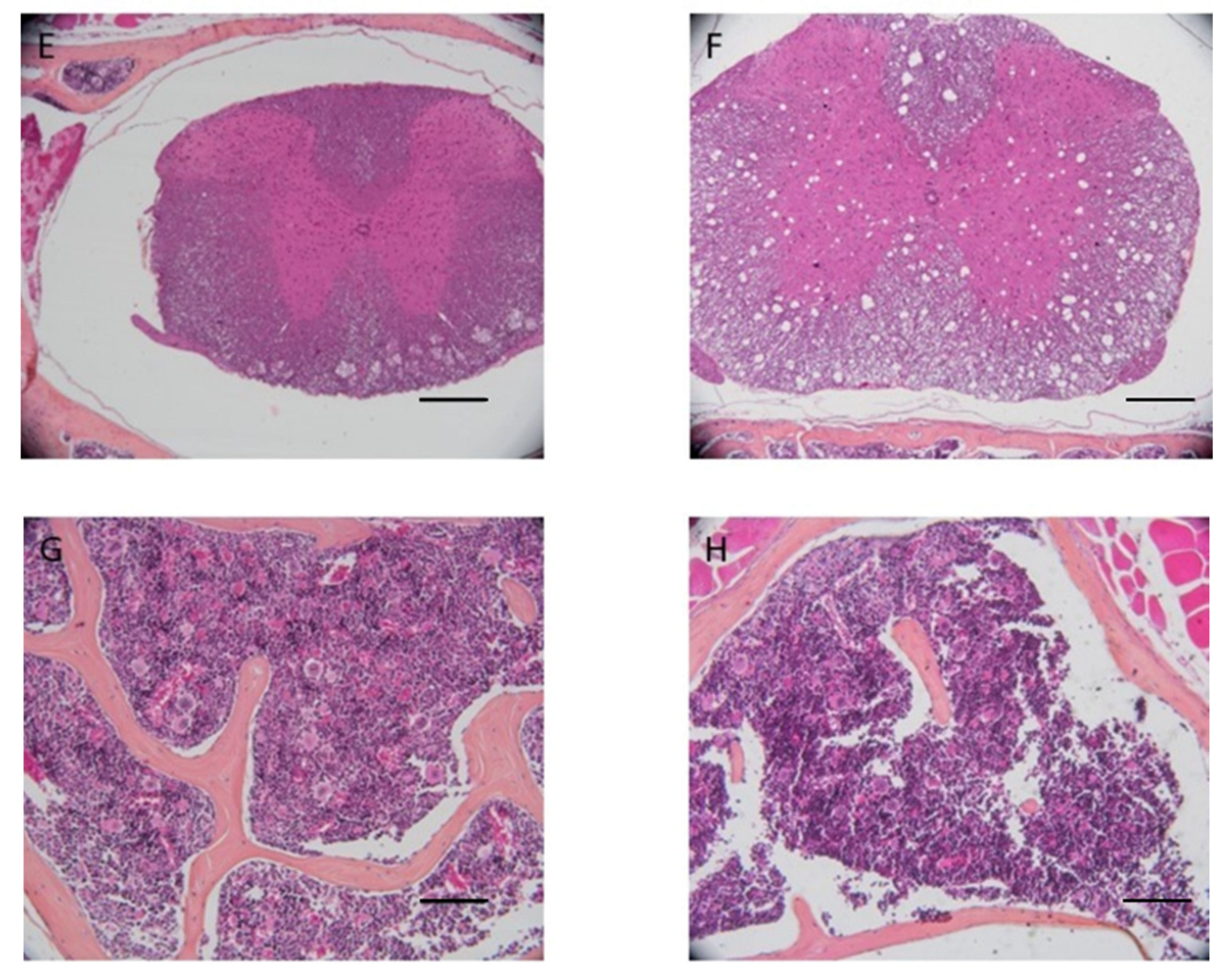 Bioengineering 10 00079 g004b