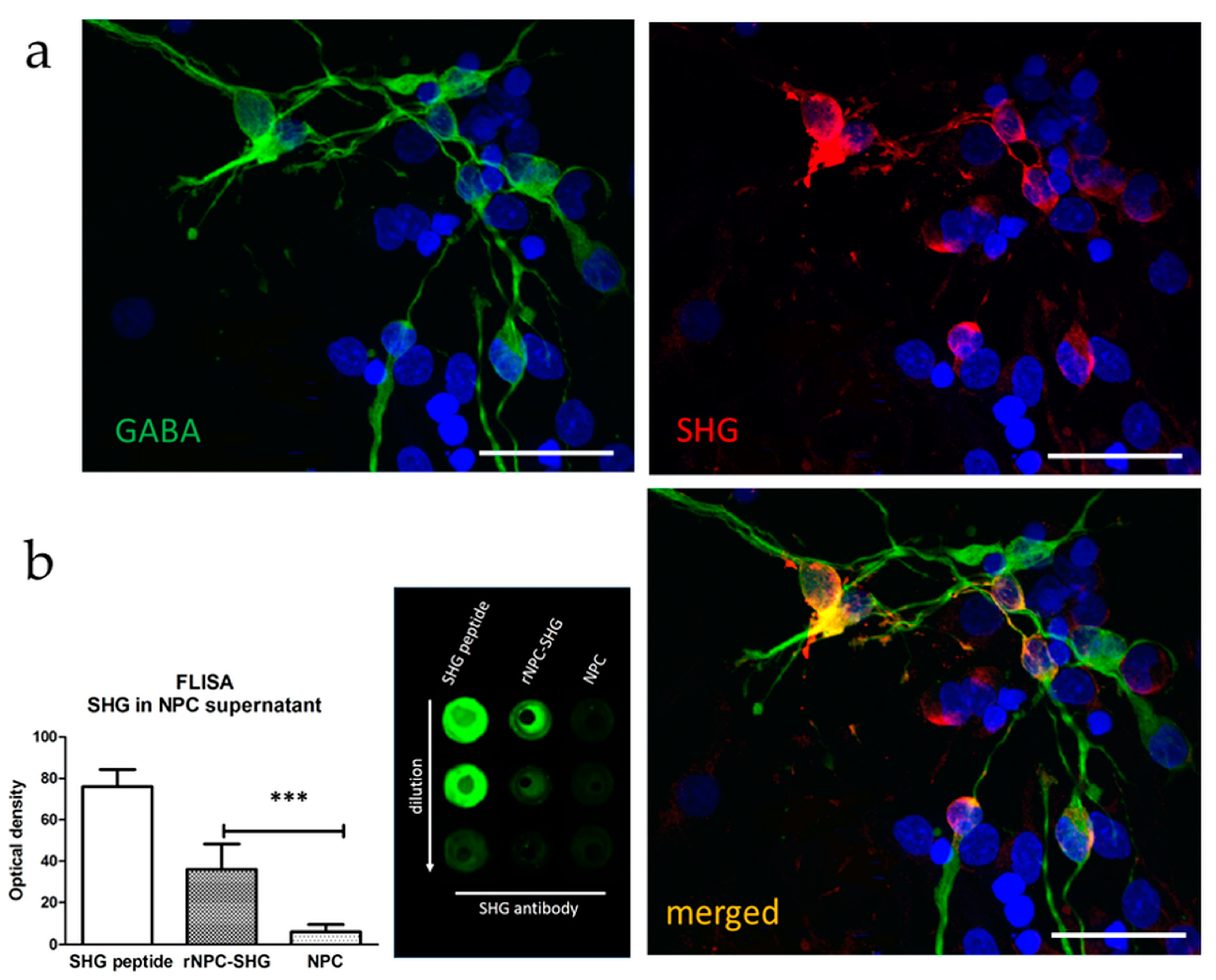 Bioengineering 10 00084 g001