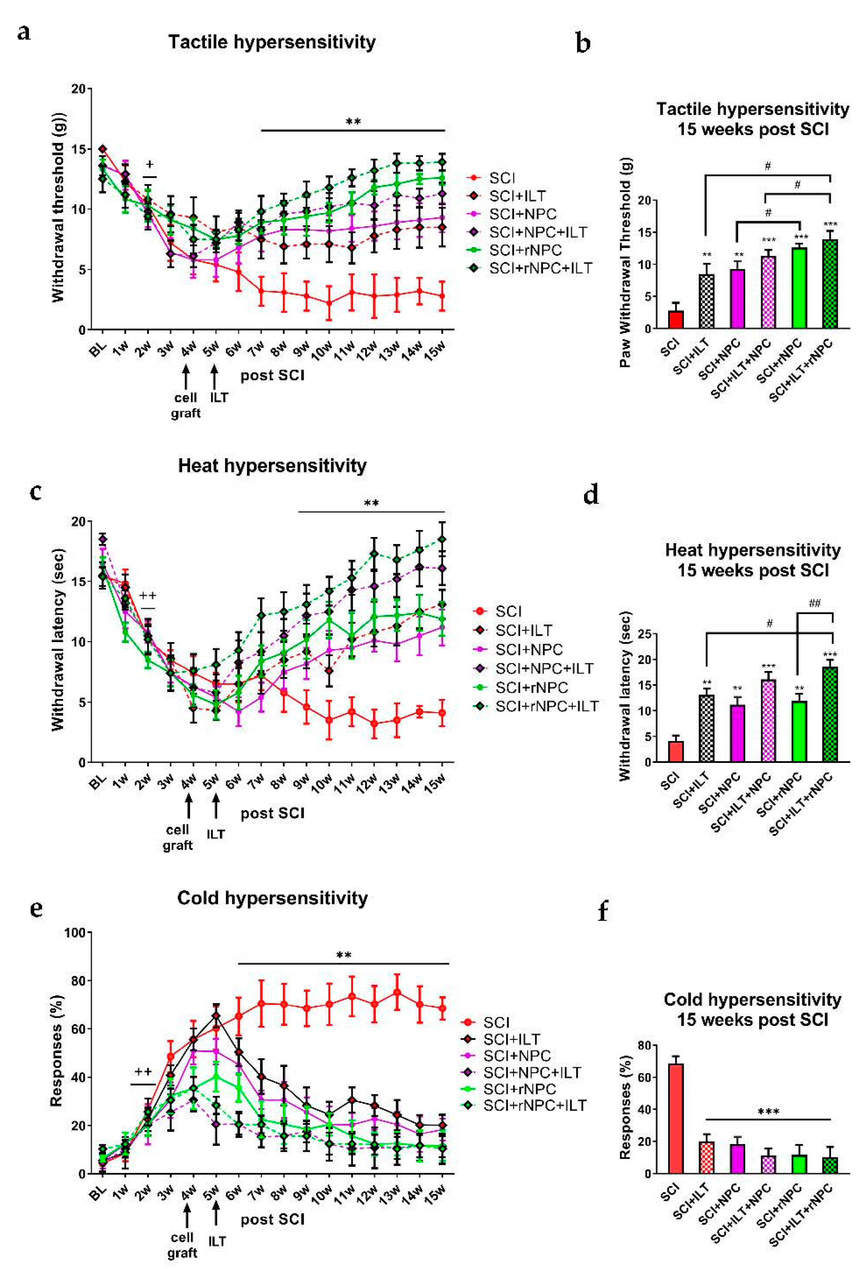 Bioengineering 10 00084 g002