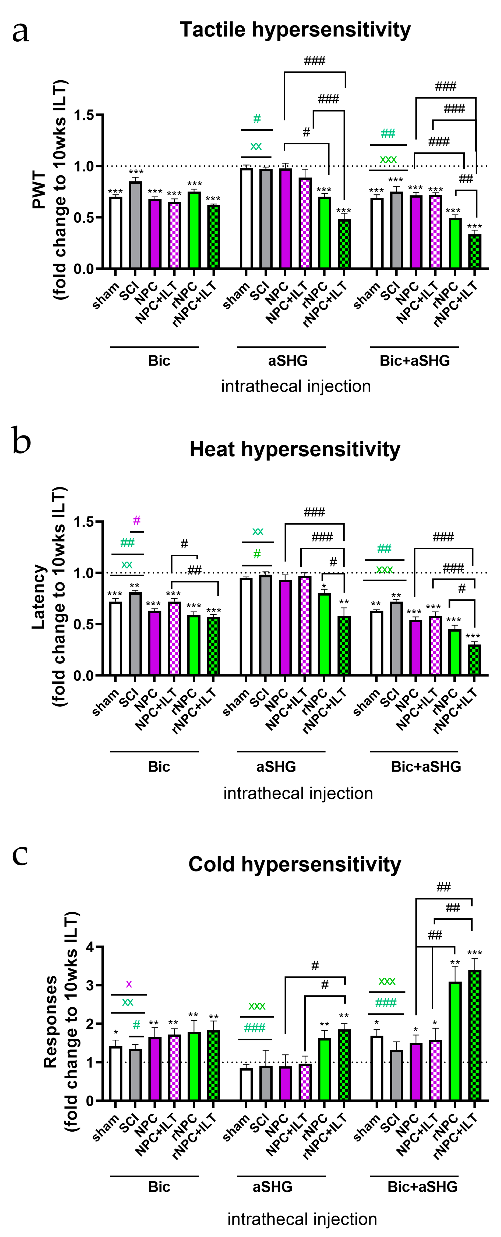 Bioengineering 10 00084 g005