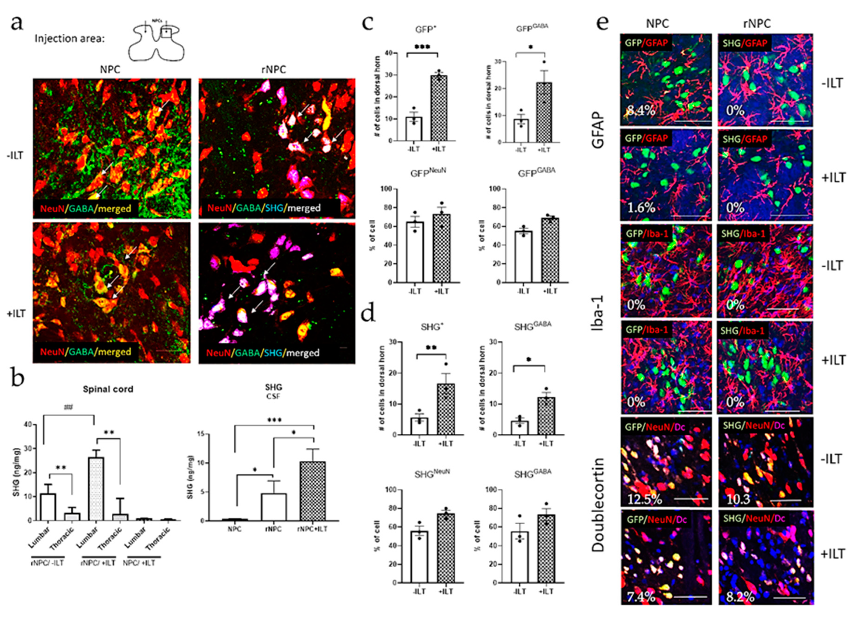Bioengineering 10 00084 g007