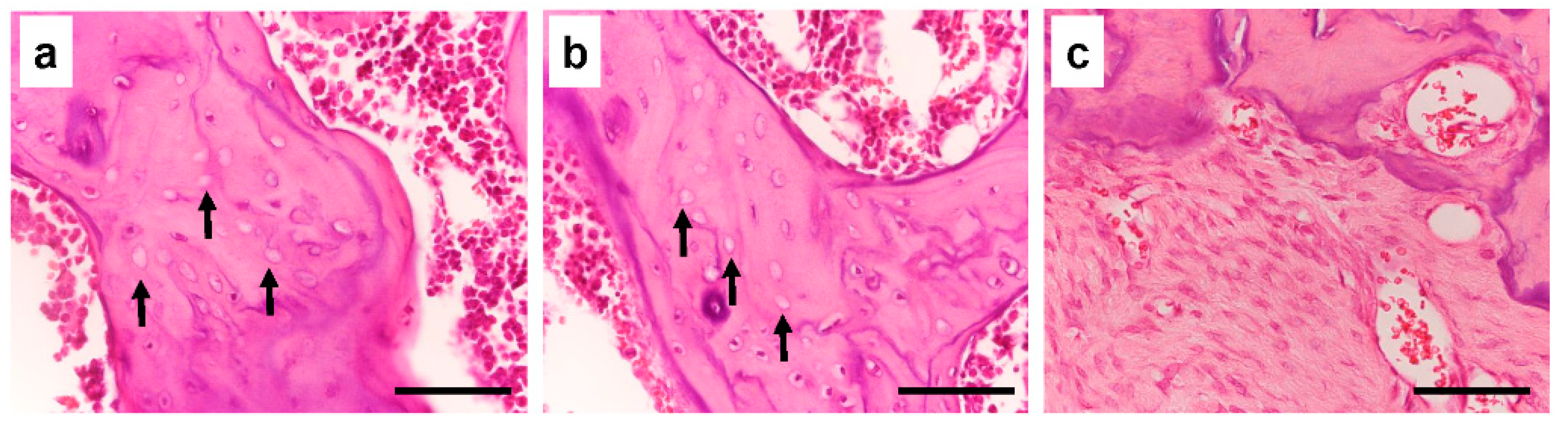 Bioengineering 10 00086 g002 Bioengineering 10 00086 g002