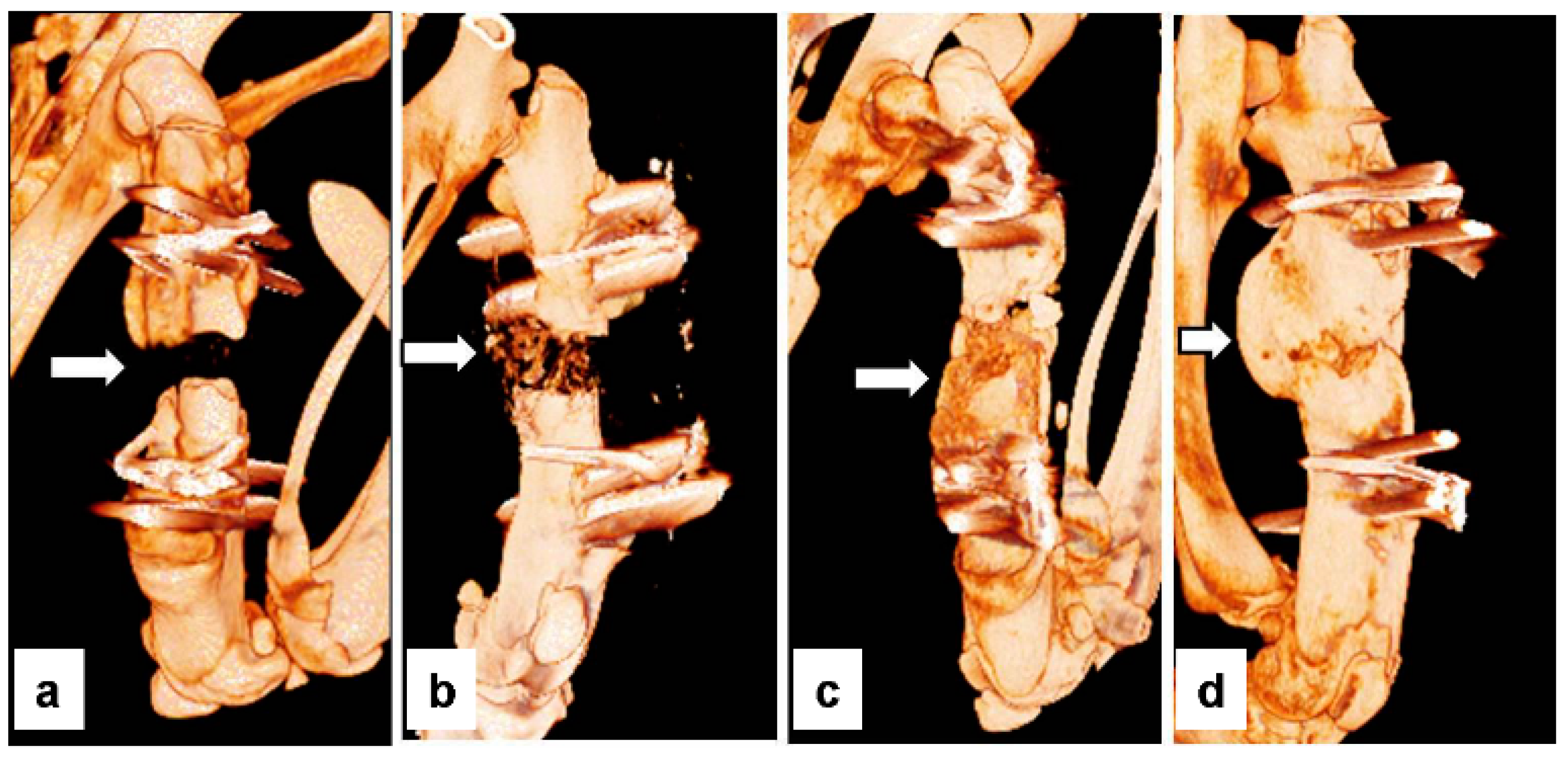 Bioengineering 10 00086 g004 Bioengineering 10 00086 g004