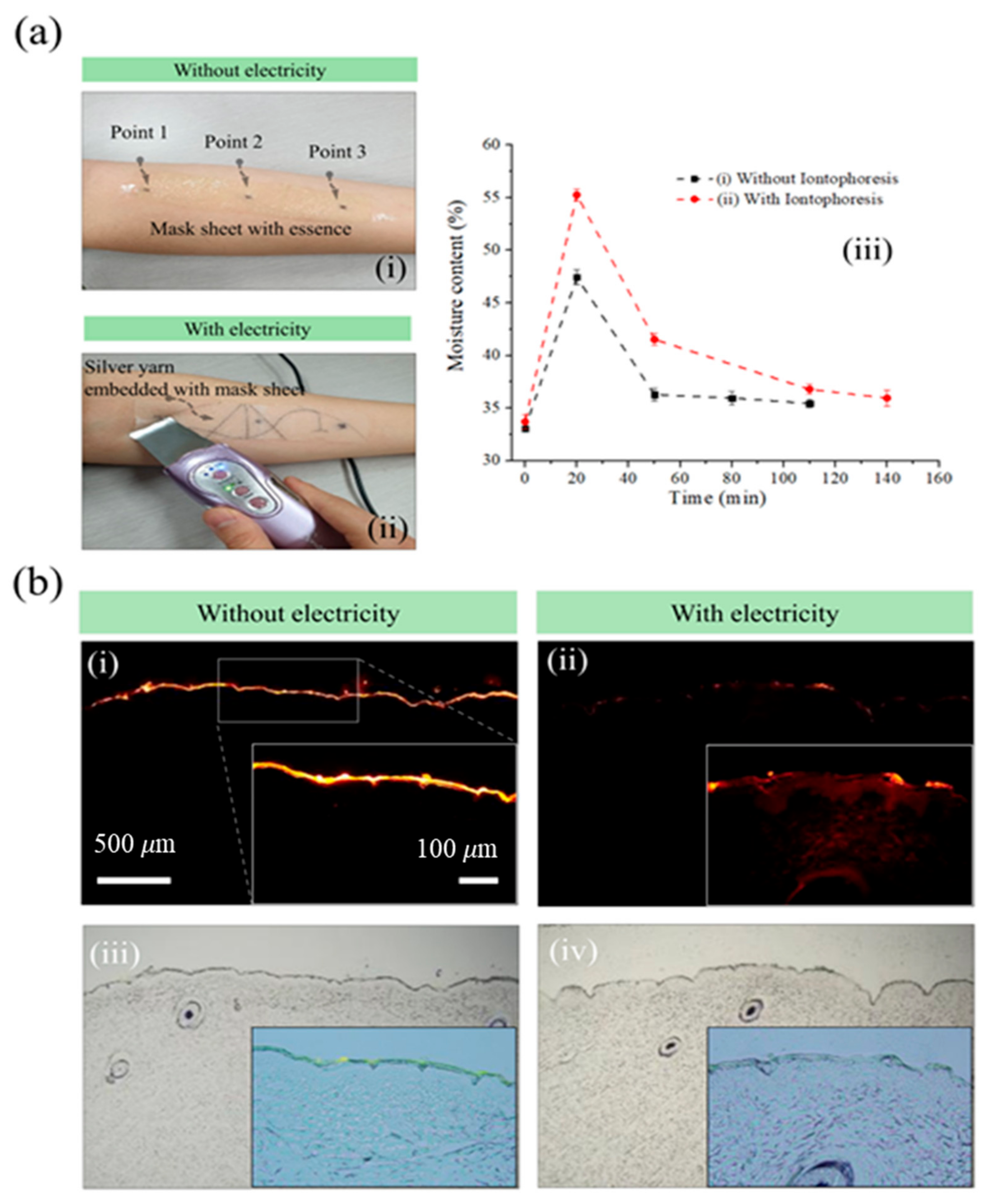 Bioengineering 10 00088 g003