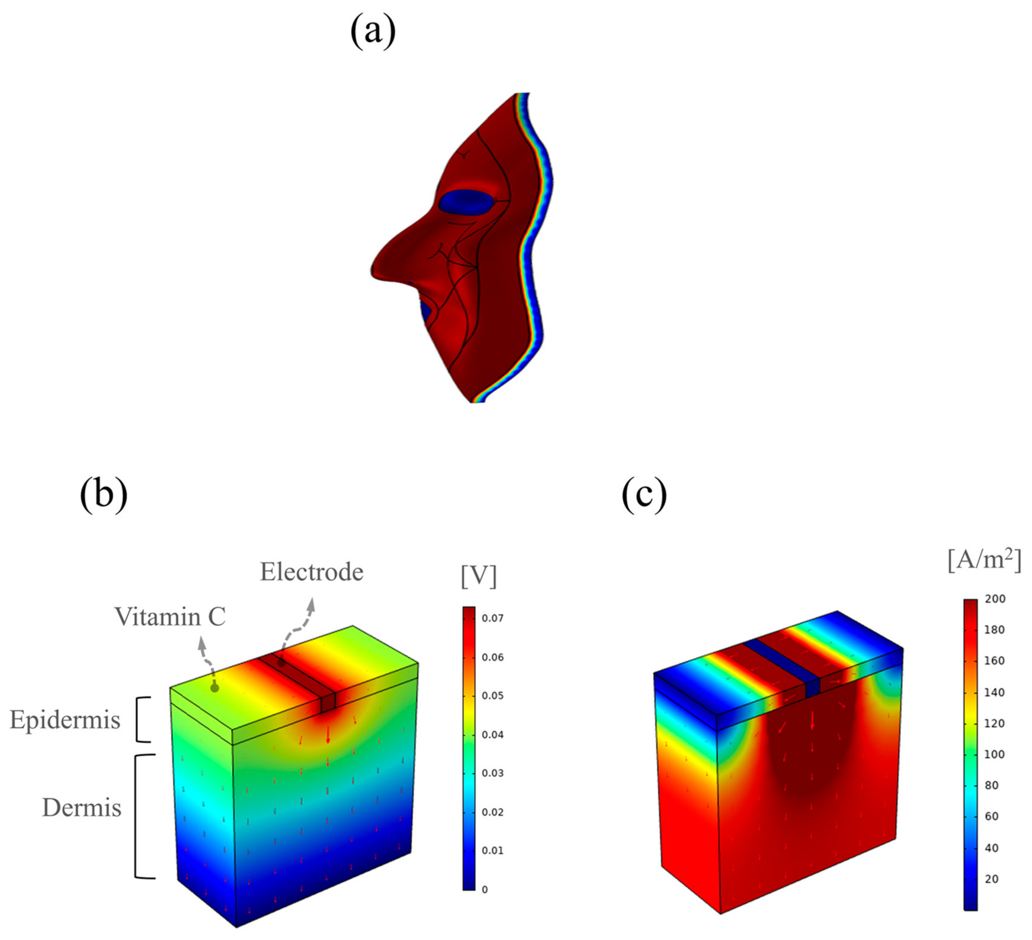 Bioengineering 10 00088 g008
