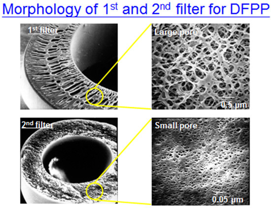 Bioengineering 10 00089 g0a4